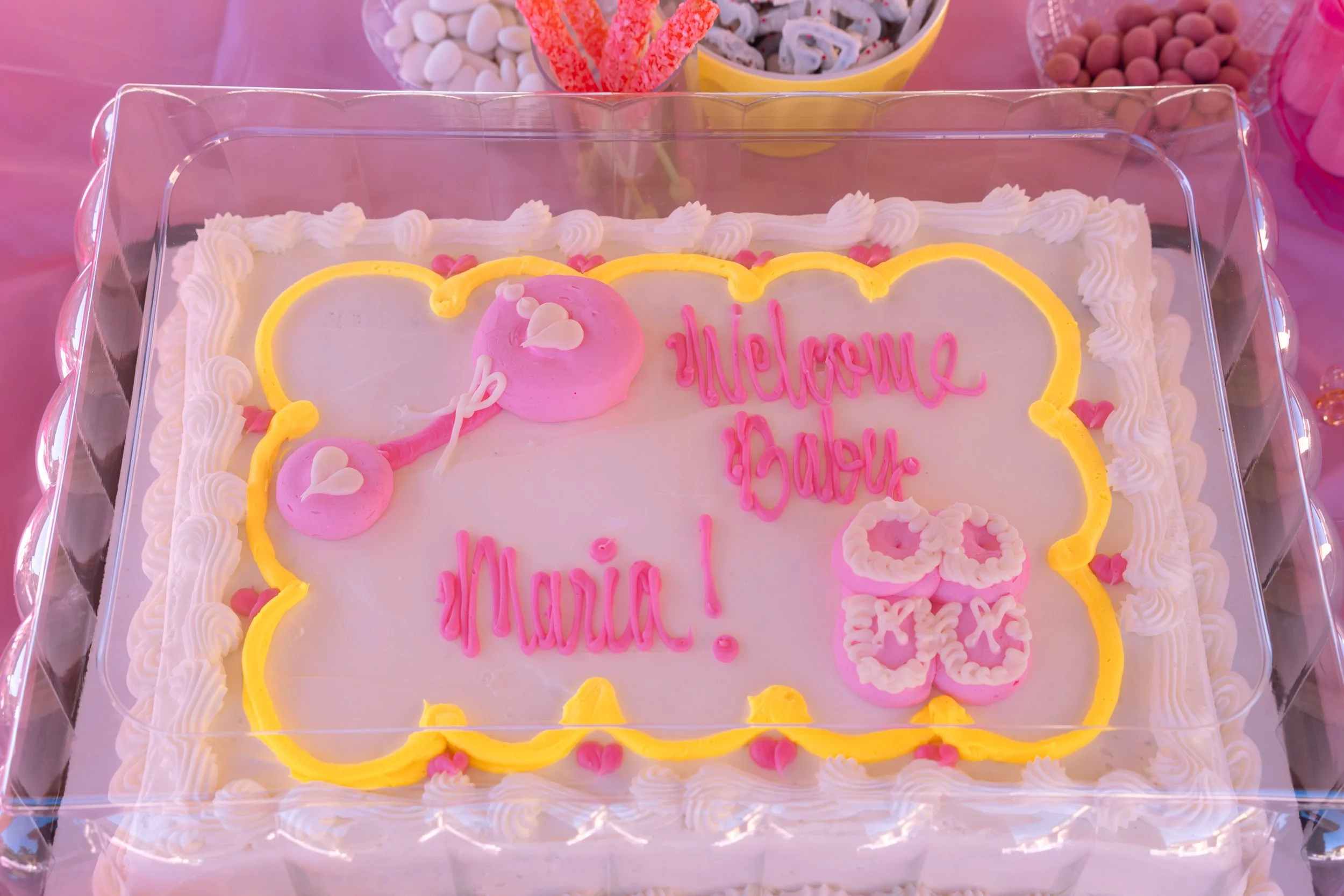 Sam and Logan's Baby Shower 2025-03.jpg