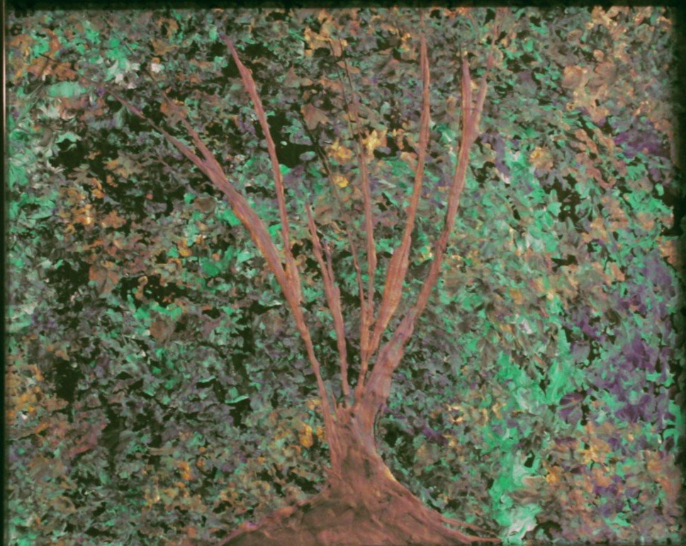 Living Forest_inPixio.jpg