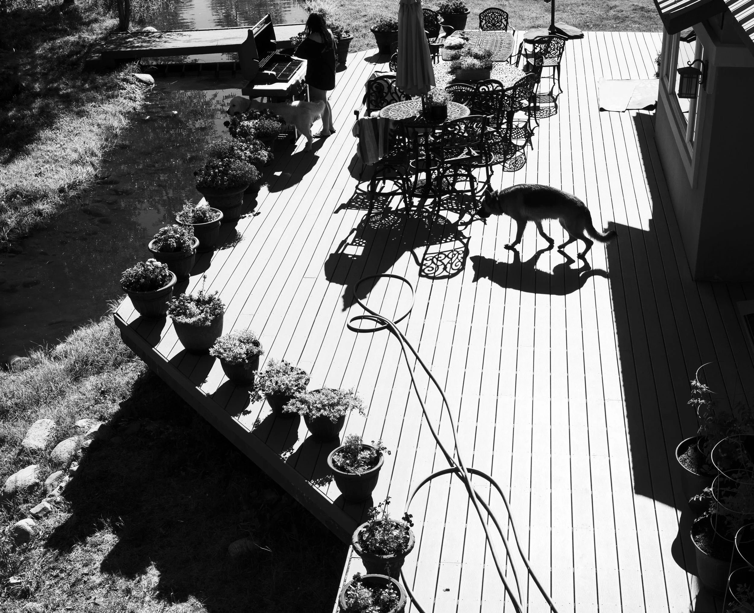 9-7-25 BW-6.jpg
