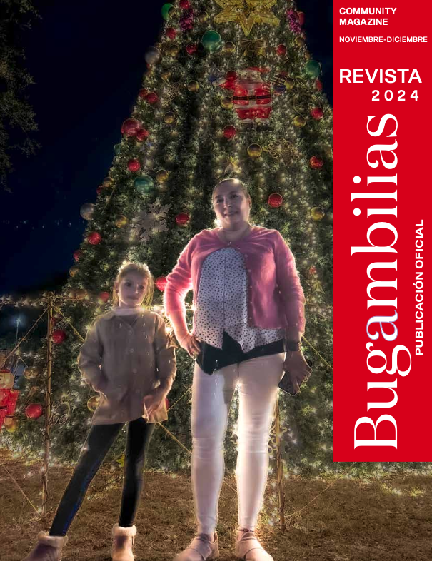 Captura de pantalla 2025-06-06 a la(s) 2.49.05 p.m..png