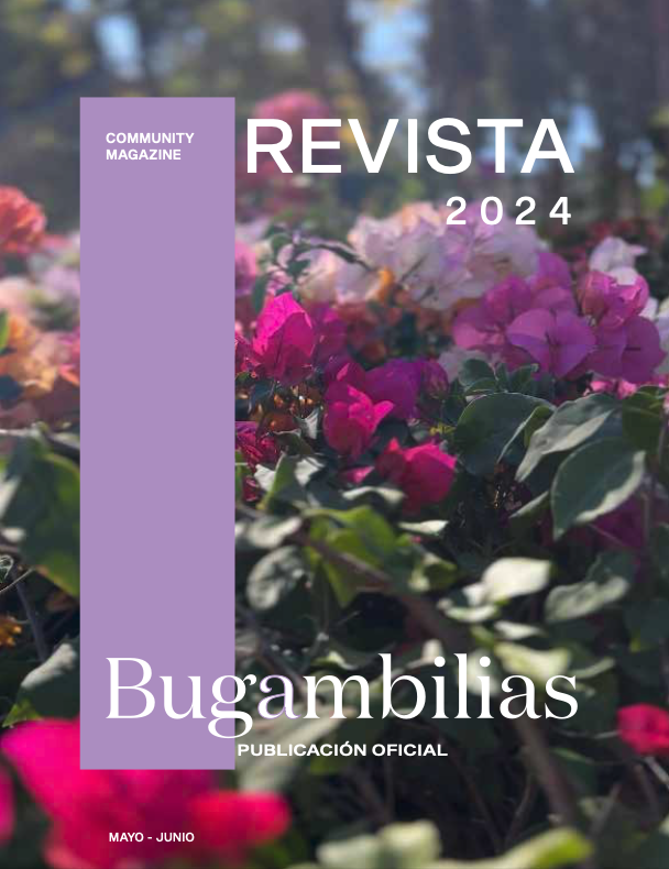 Captura de pantalla 2025-06-06 a la(s) 2.47.25 p.m..png