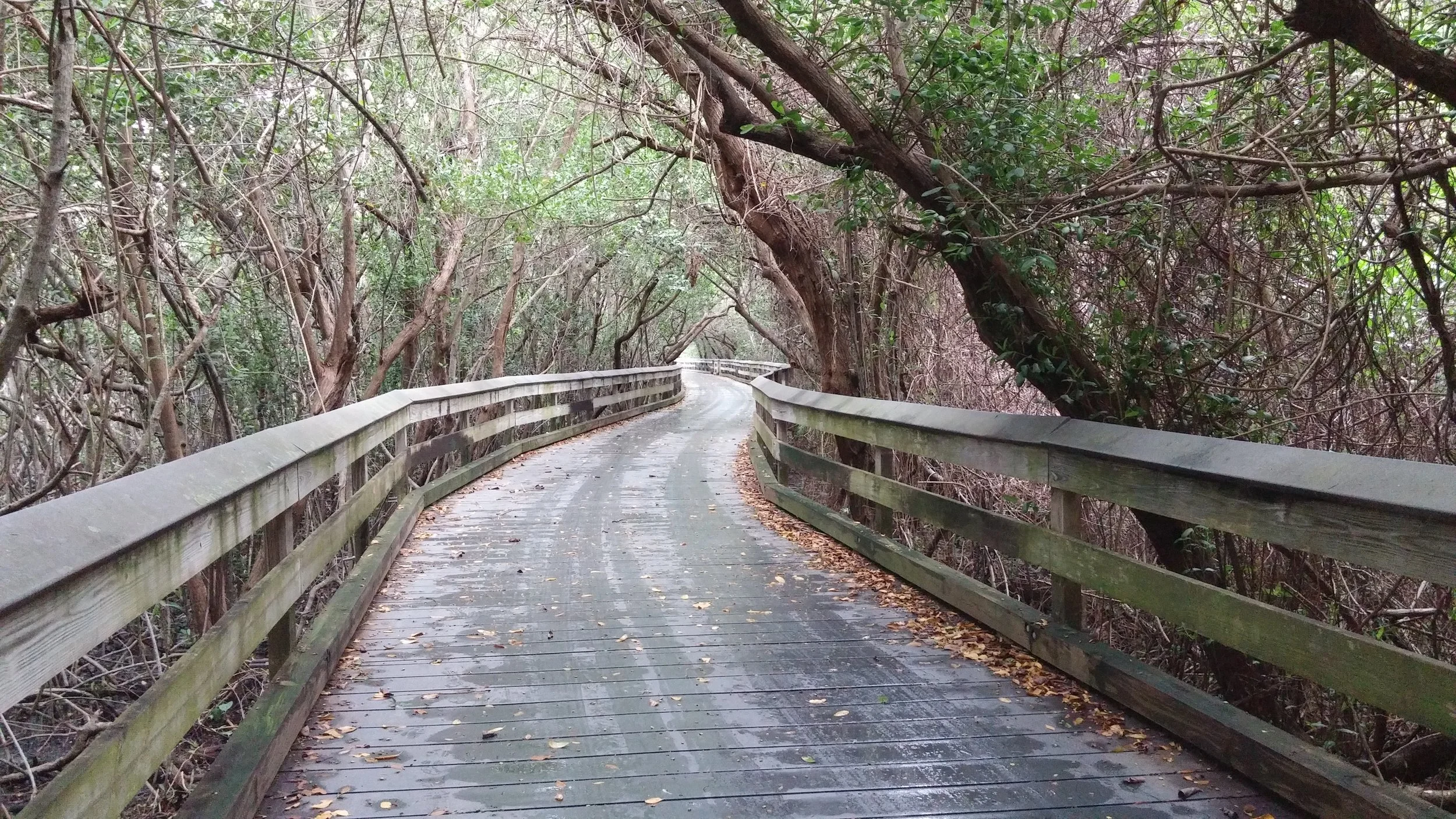 Claim Pass Boardwalk, Naples, FL