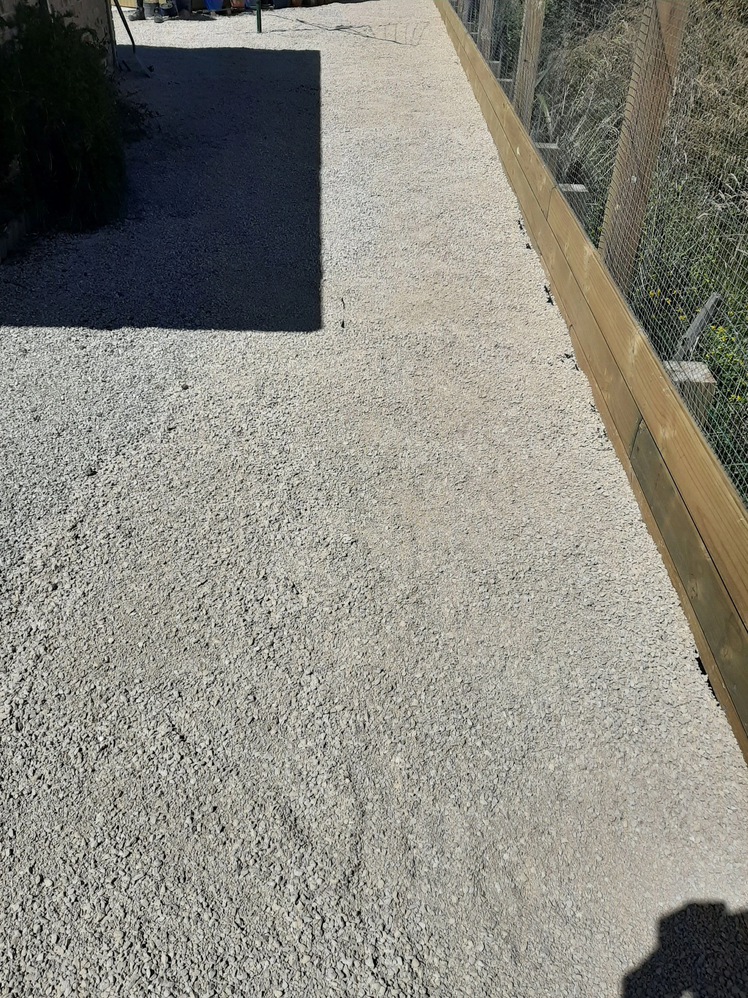 kiwi ave2.jpg