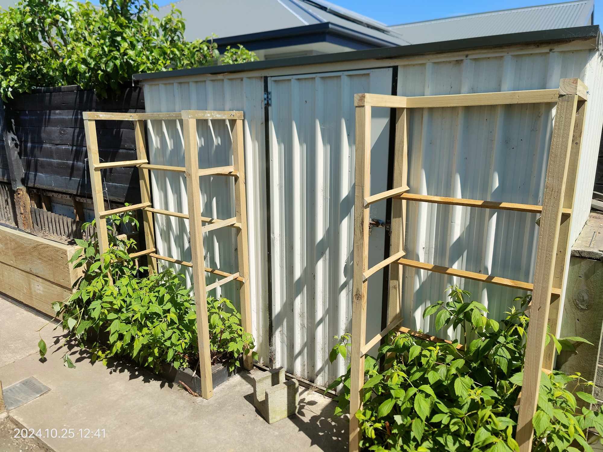 Pegasus planter boxes5.jpg