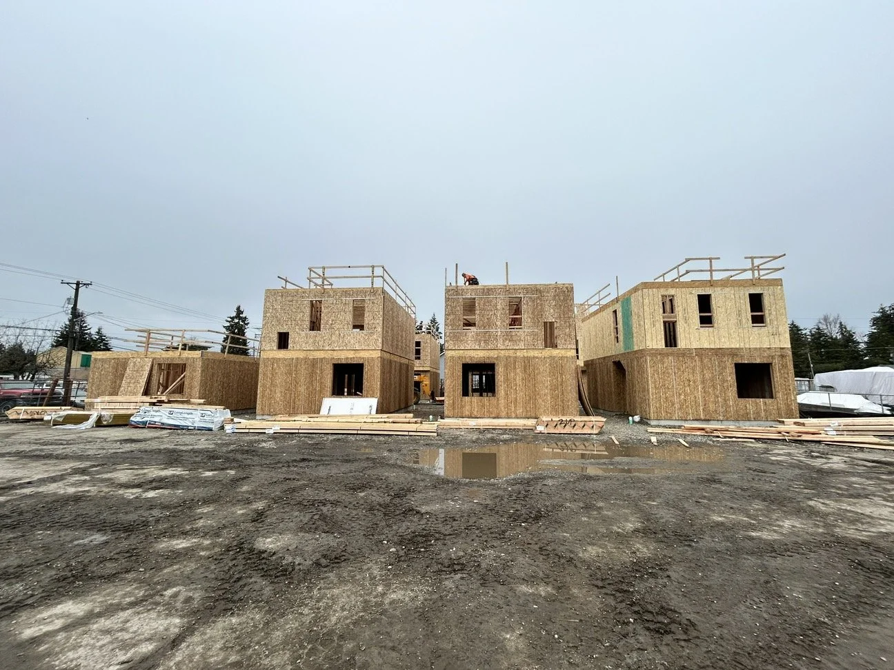 Framing _37415fc7-1fc7-4337-9a09-11d08c3ccbde.jpg