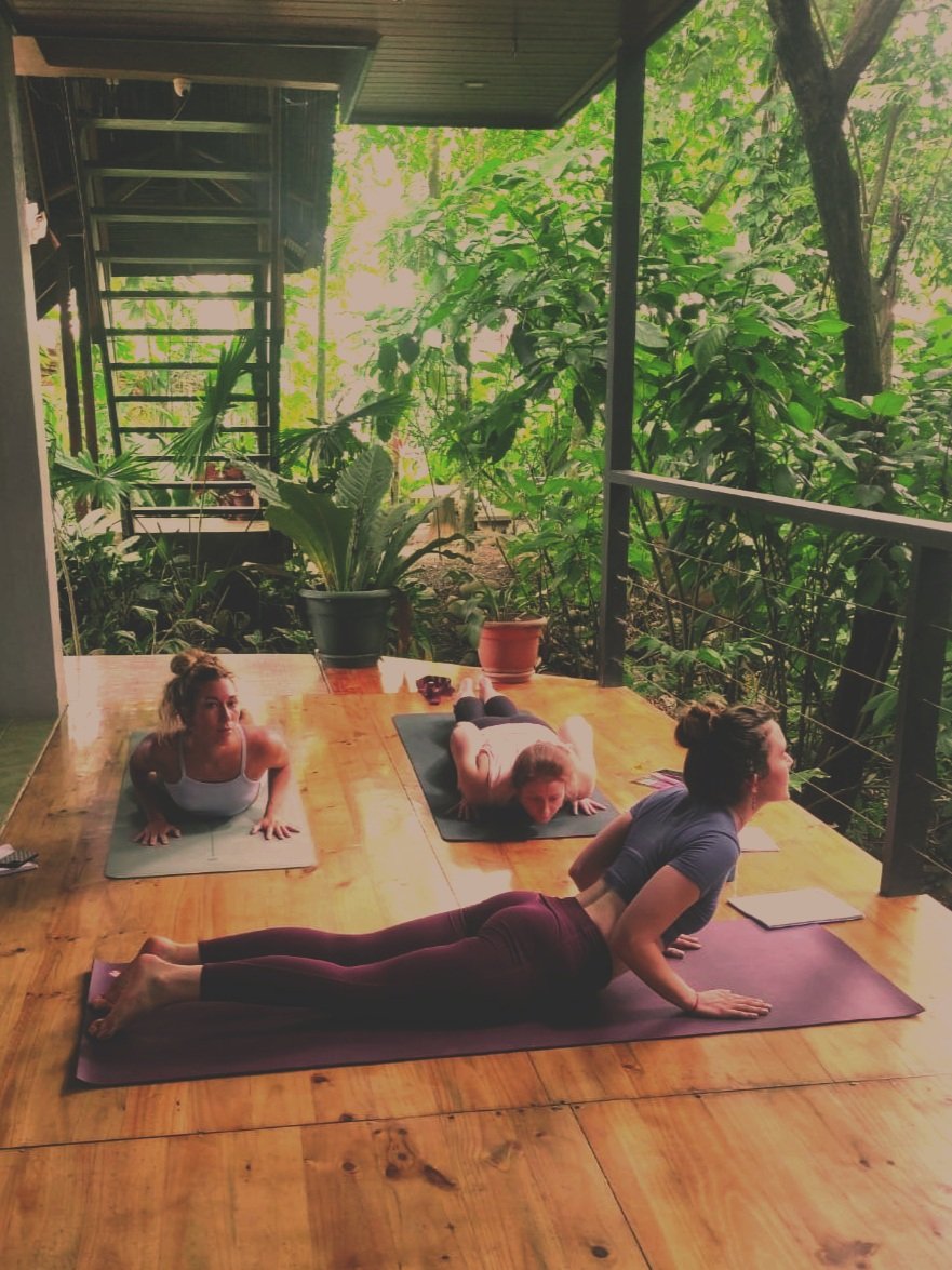 Making Yoga a Habit: Lessons from The Power of Habit by Charles Duhigg 