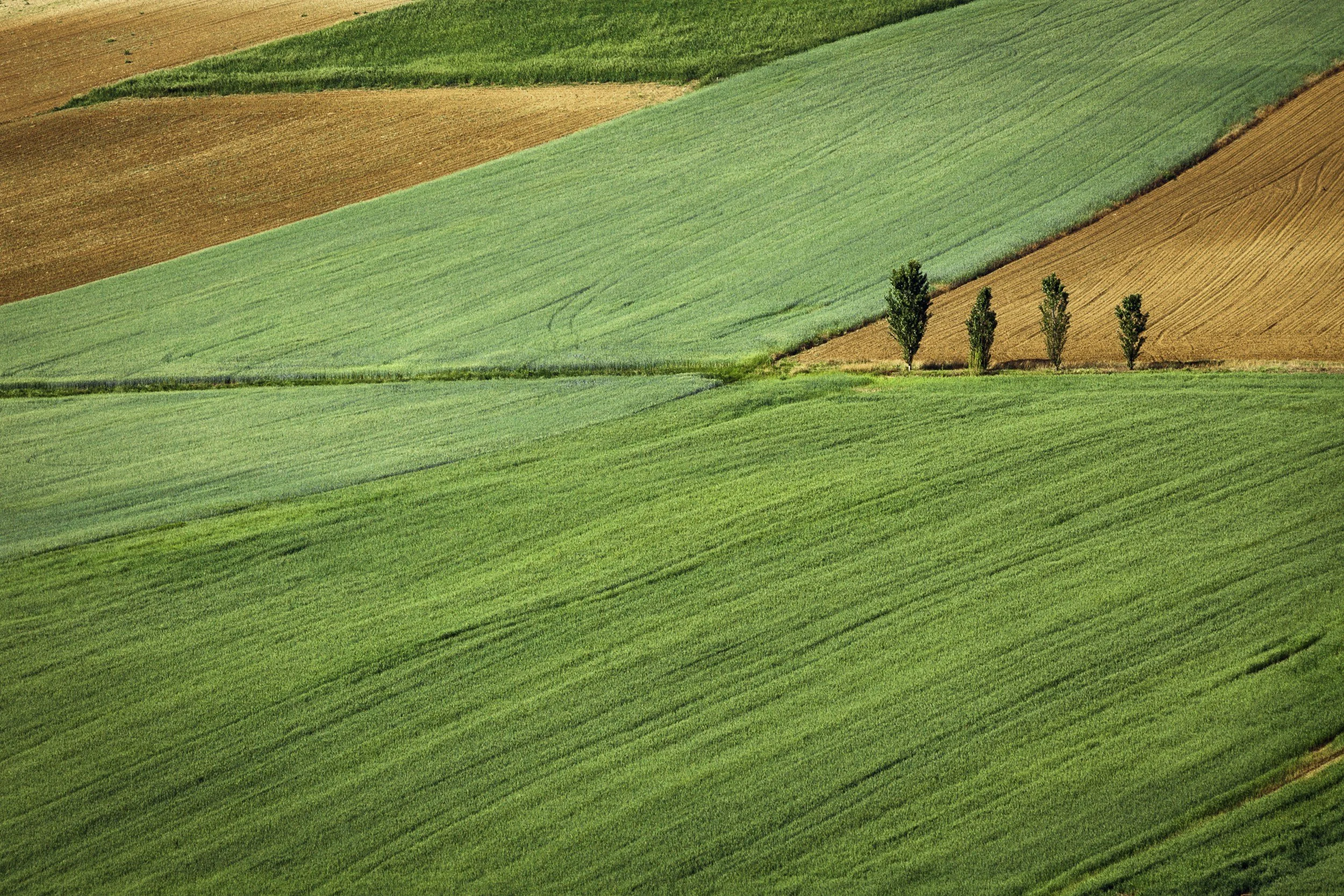 Texture