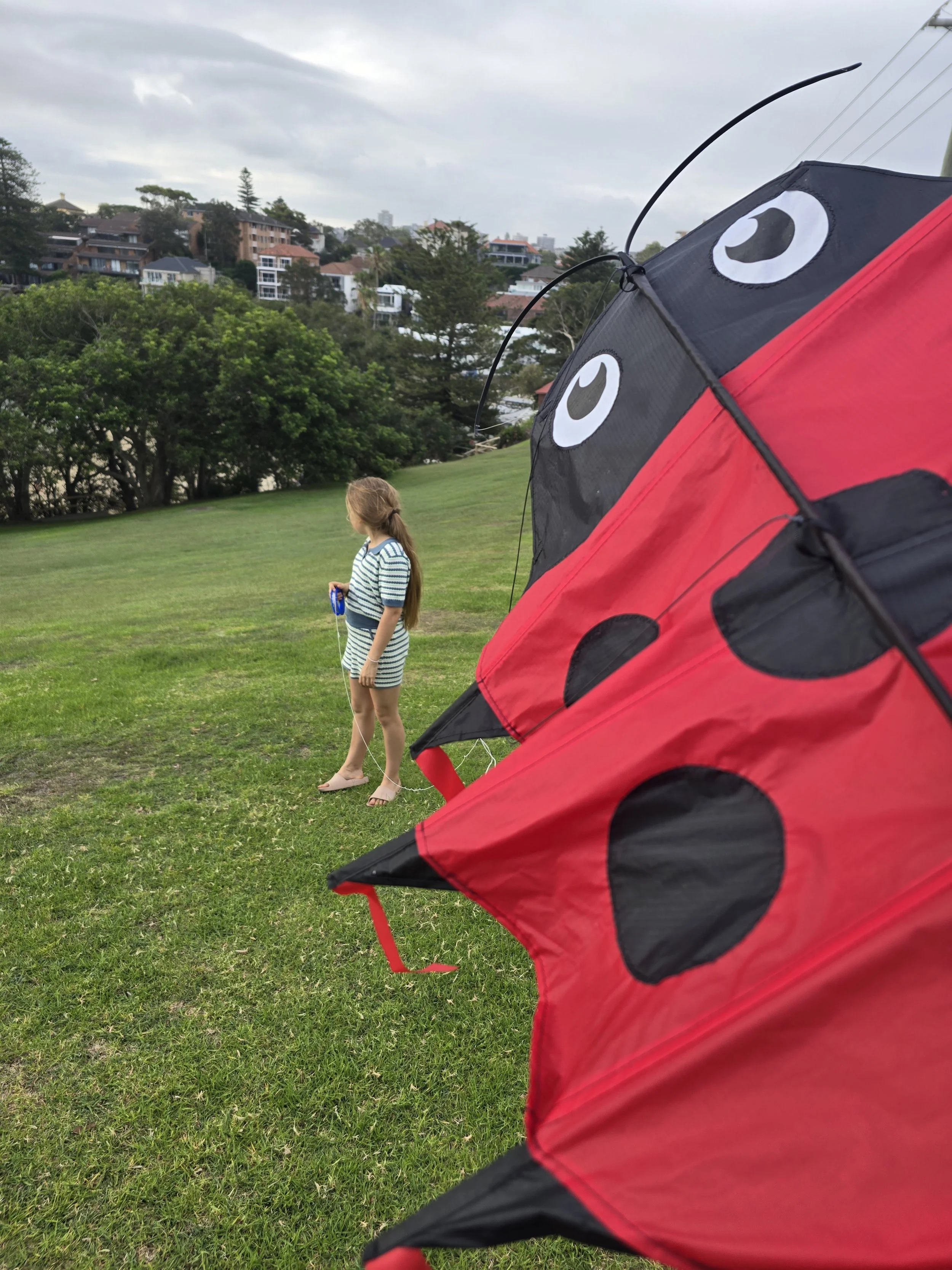 Kite