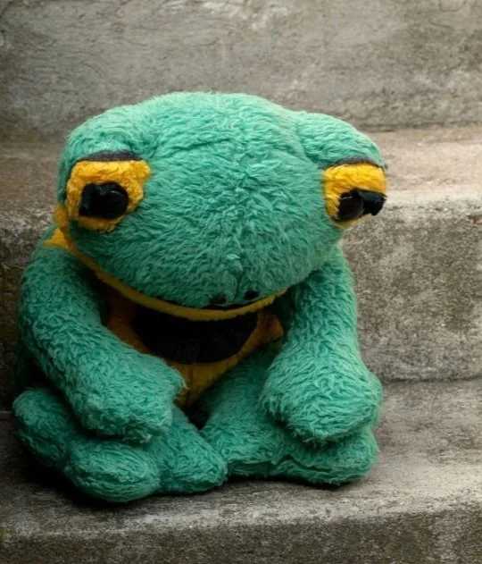 Frog