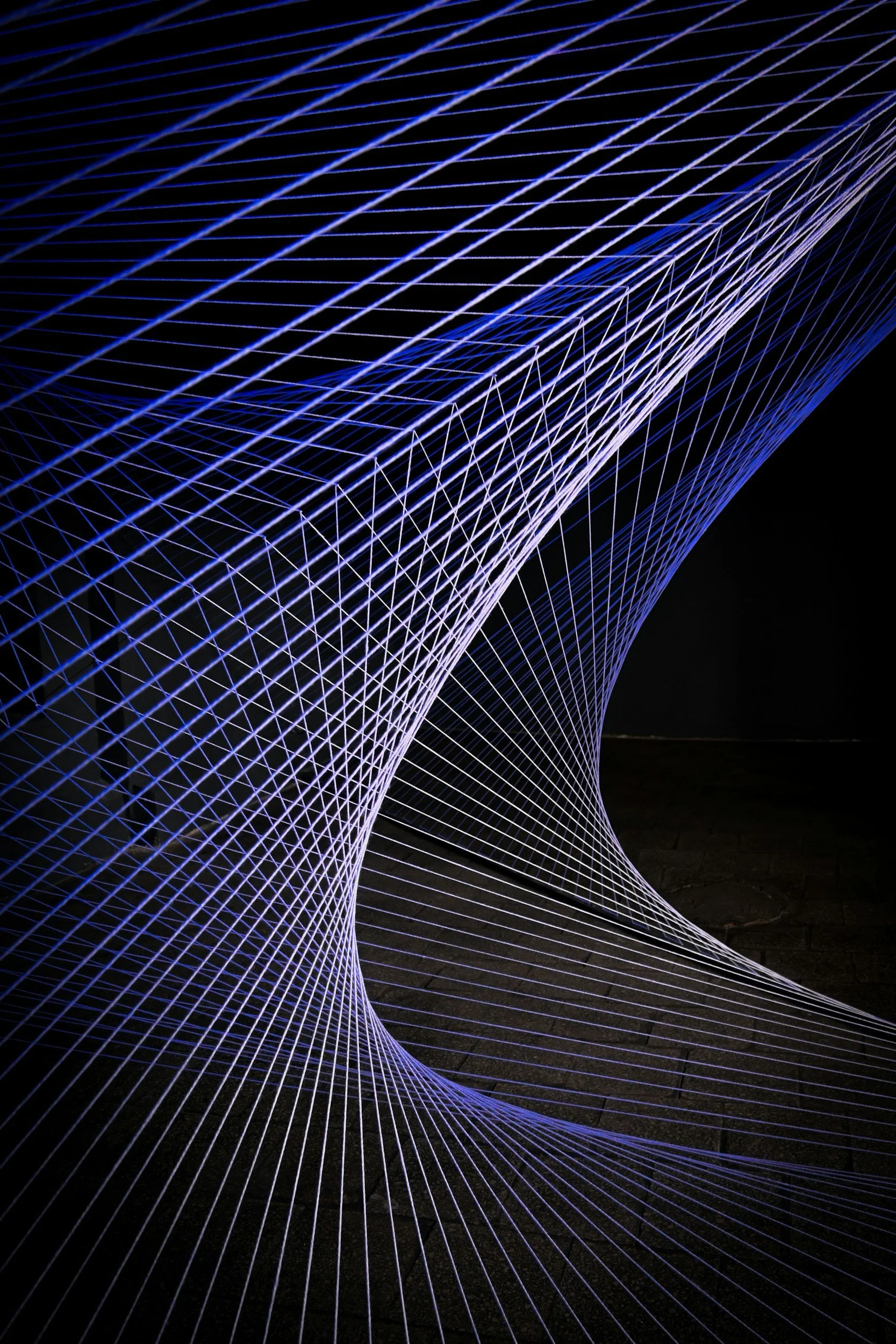 Nighttime digital art installation with curved blue and white glowing wireframe structures against a dark background.