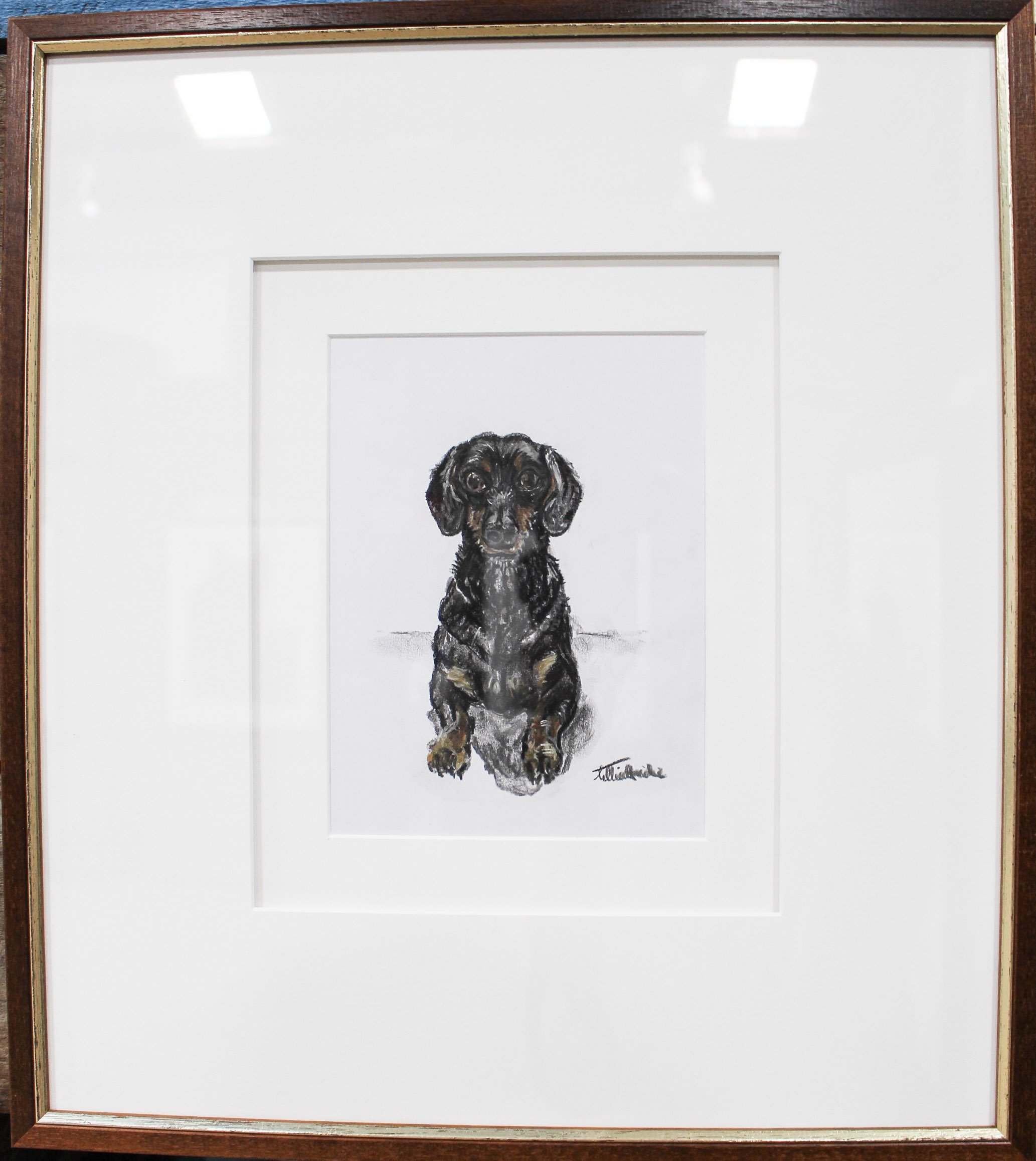 'Peggy' Daschund
