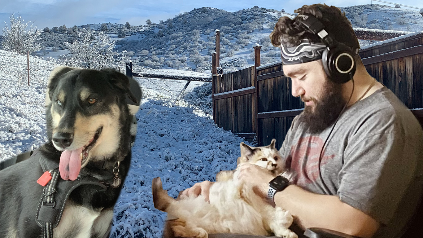 Cody,Ahsoka,Bumble.png