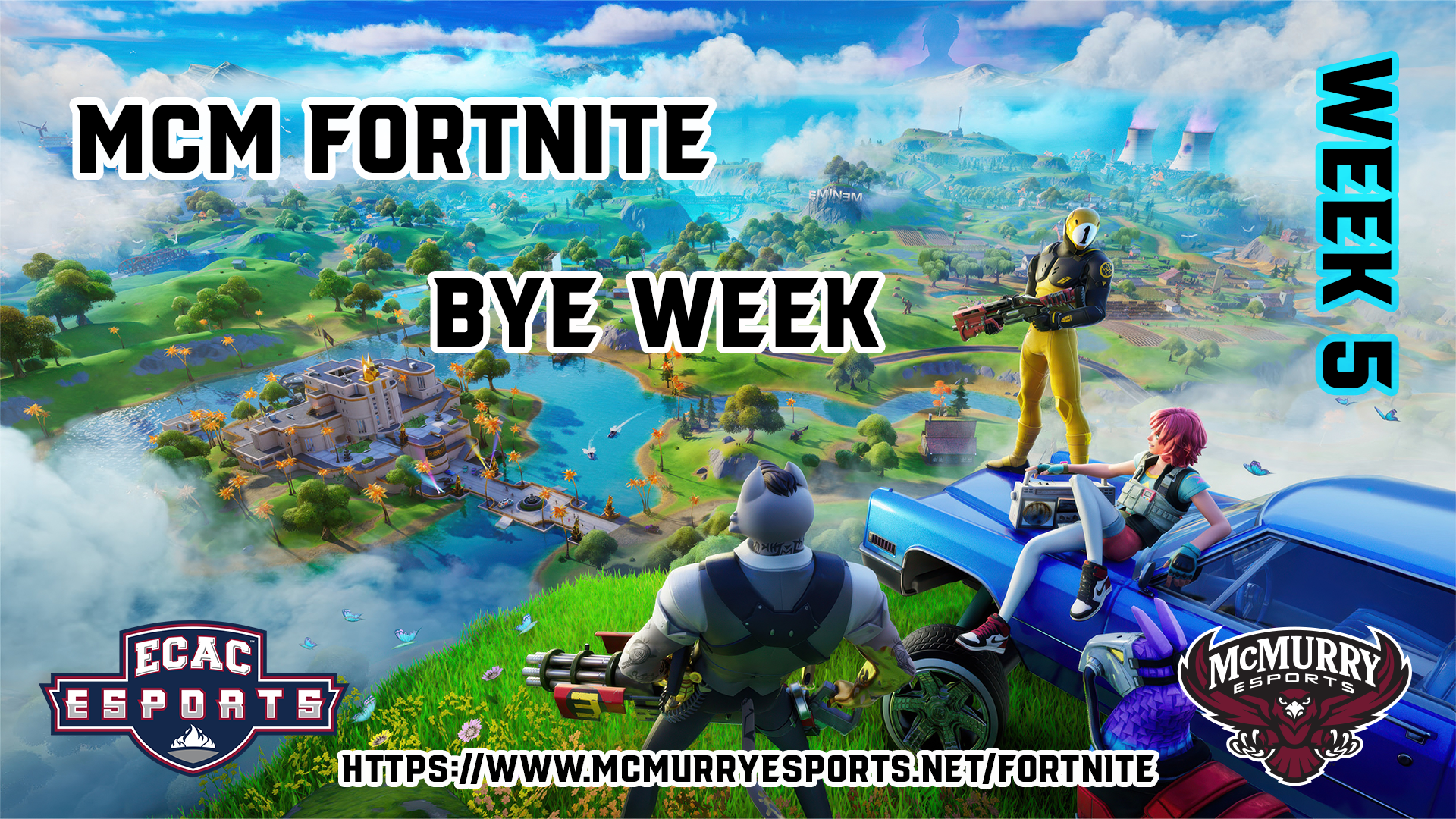 FortStatswk5.png