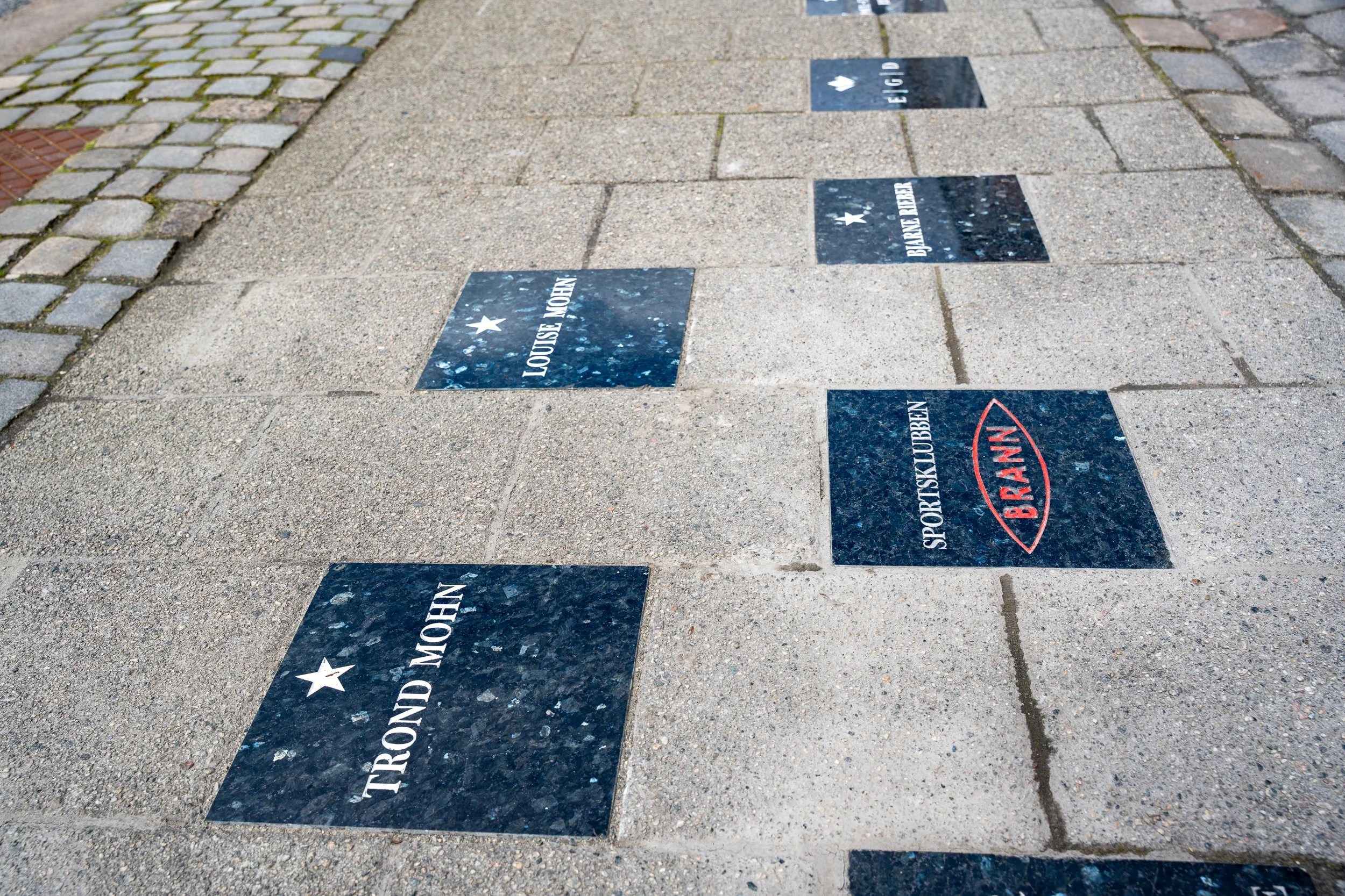 Walk of Fame-00711.jpg