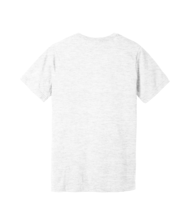 Adult_Ash_TShirt_Bk.png