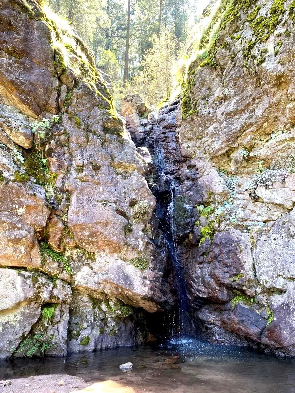 Rincón de los Venados