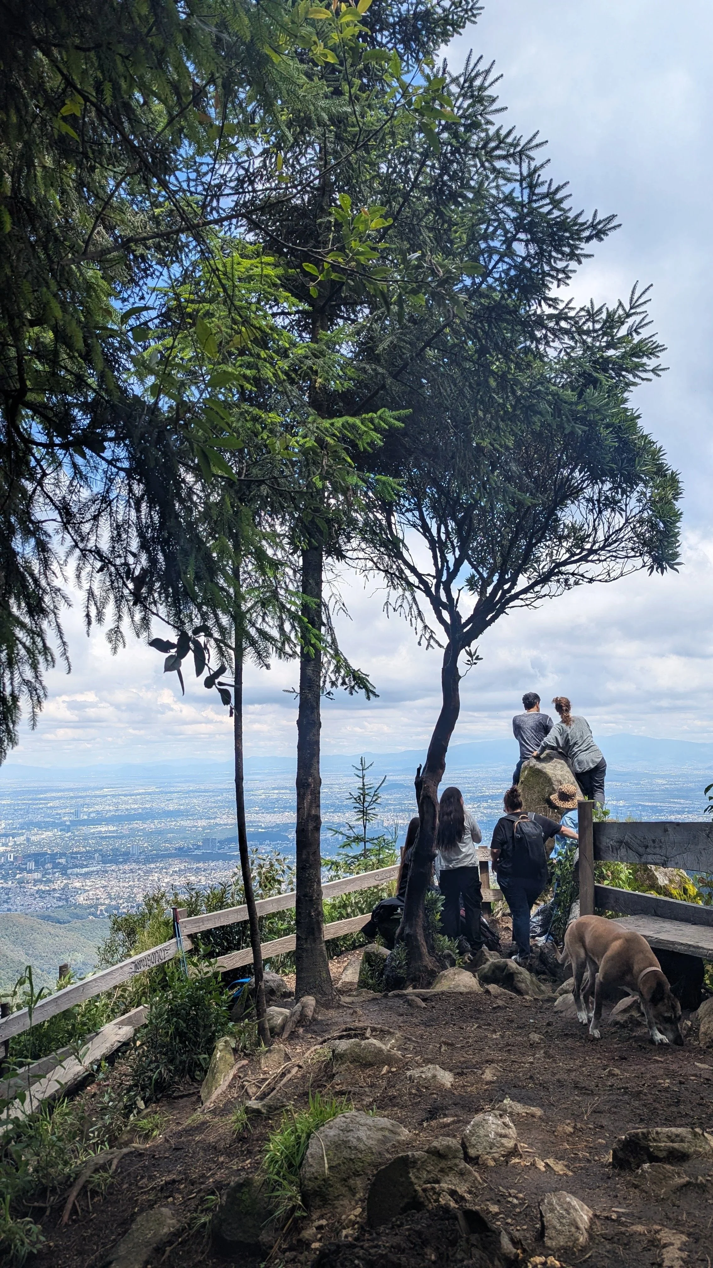 Dos+Miradores+9.jpg