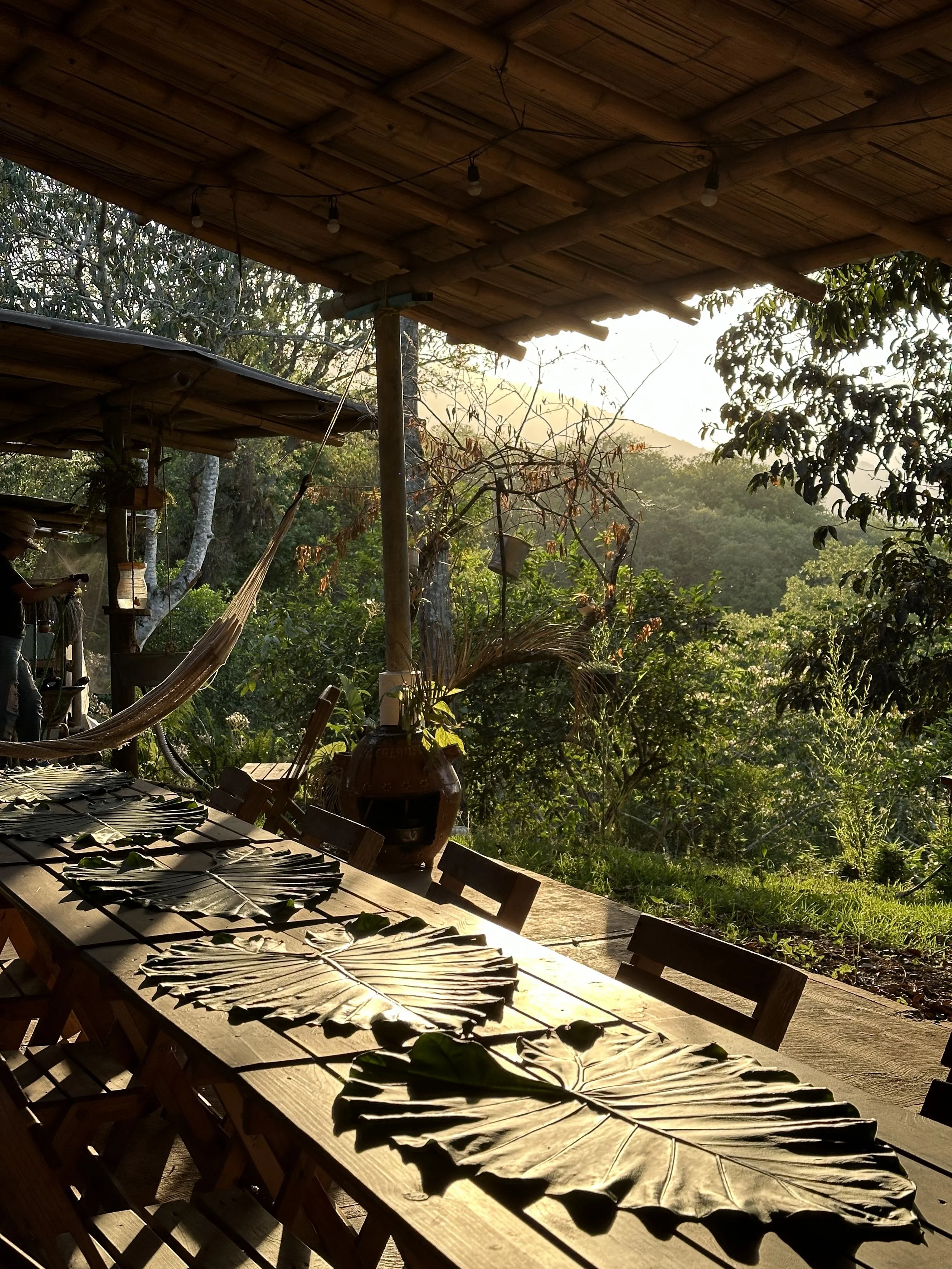 ENTRE NIEBLA Y SABORES