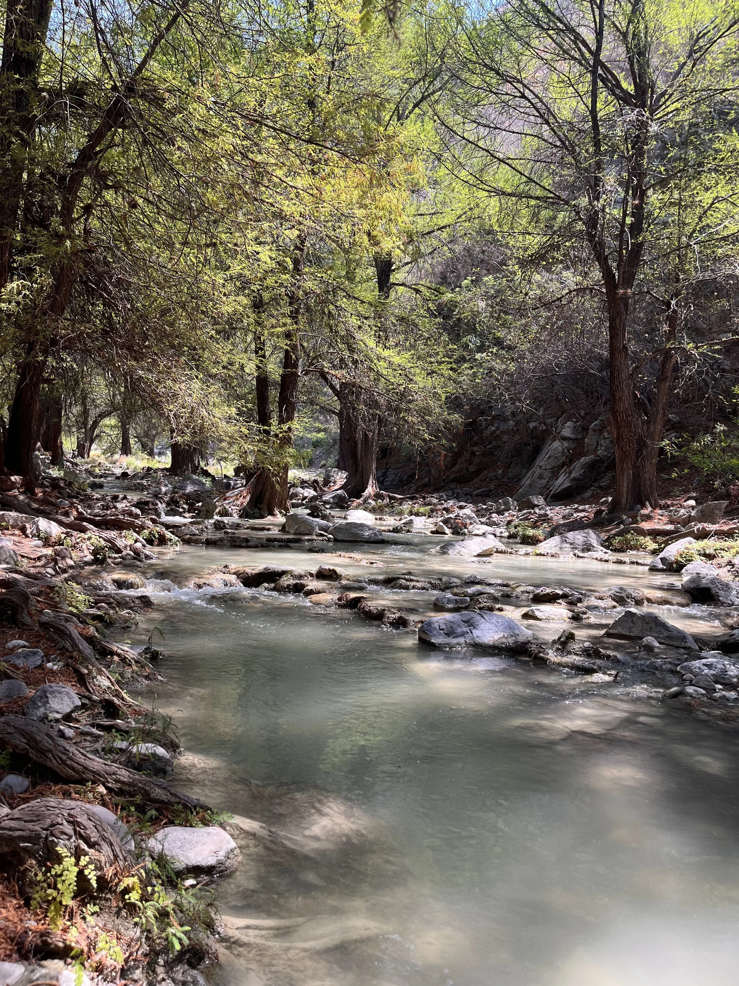 cascadas-turquesa-ahuehuetla-puebla-naturaleza.jpg