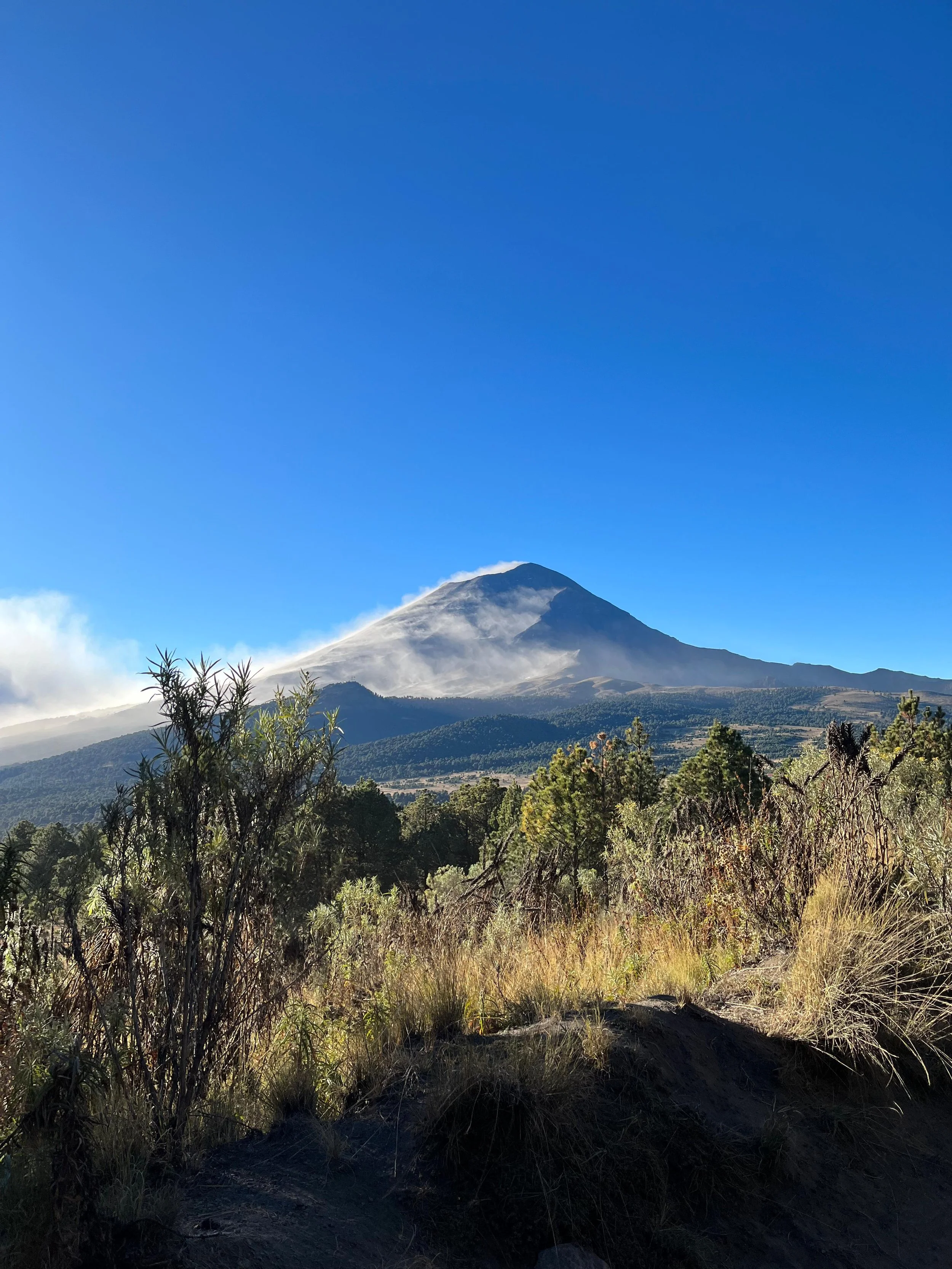 12ed7938-9103-497e-81d7-4a74a78d2fb3 (2).jpg