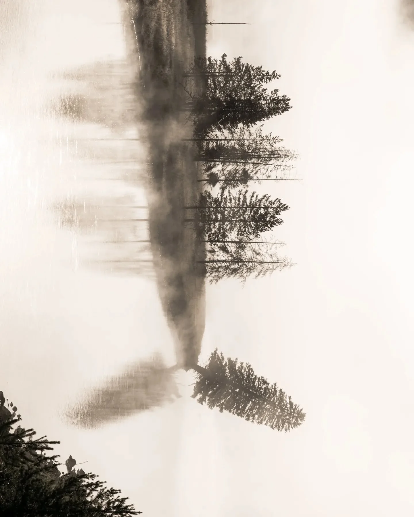 From a very pretty morning.
Also I'm moving btw! I'll be headed out to Wyoming this spring/summer season ✌️
.
.
.
#fadedaesthetics
#stademagazine 
#thinkverylittle #forevermagazine #somewheremag #broadmag #taintedmag #paperjournalmag #moodyphotograph