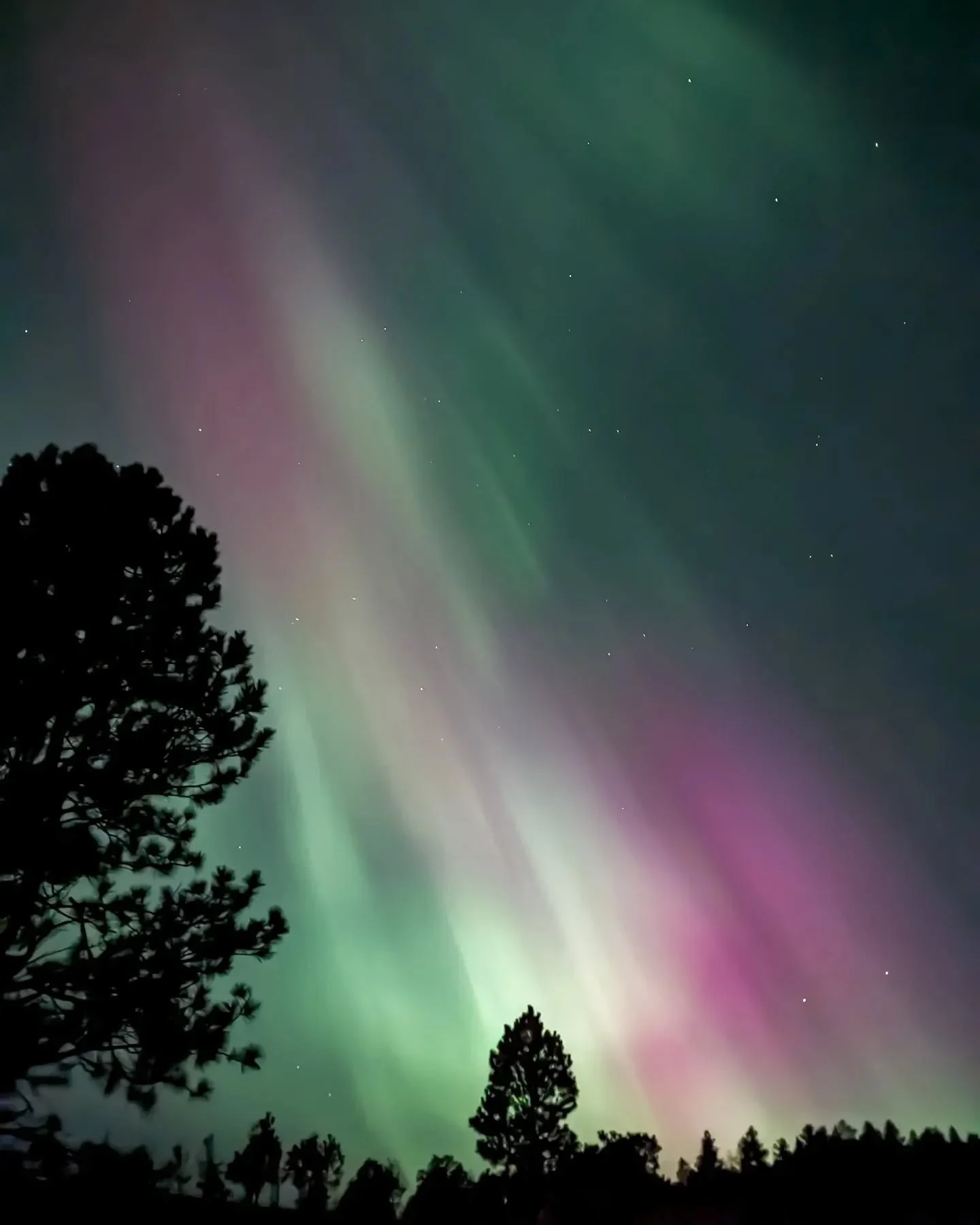 Aurora from earlier this summer! Still kinda can't believe I got to see this and how ethereal it was
.
.
.
#fadedaesthetics
#stademagazine 
#thinkverylittle #forevermagazine #somewheremag #broadmag #taintedmag #paperjournalmag #moodyphotography #wild