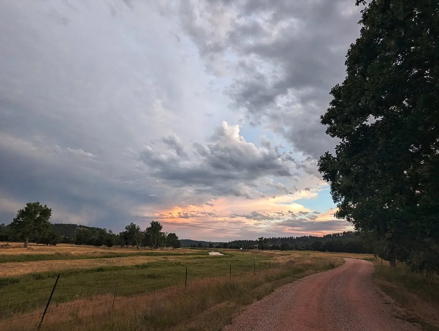 Bike rides have been my source of joy this last week! Plus the weather did a 180 from 100+ degrees to maybe 70 and I truly think the heat was cooking me slowly to death 
.
.
.
#fadedaesthetics
#stademagazine 
#thinkverylittle #forevermagazine #somewh
