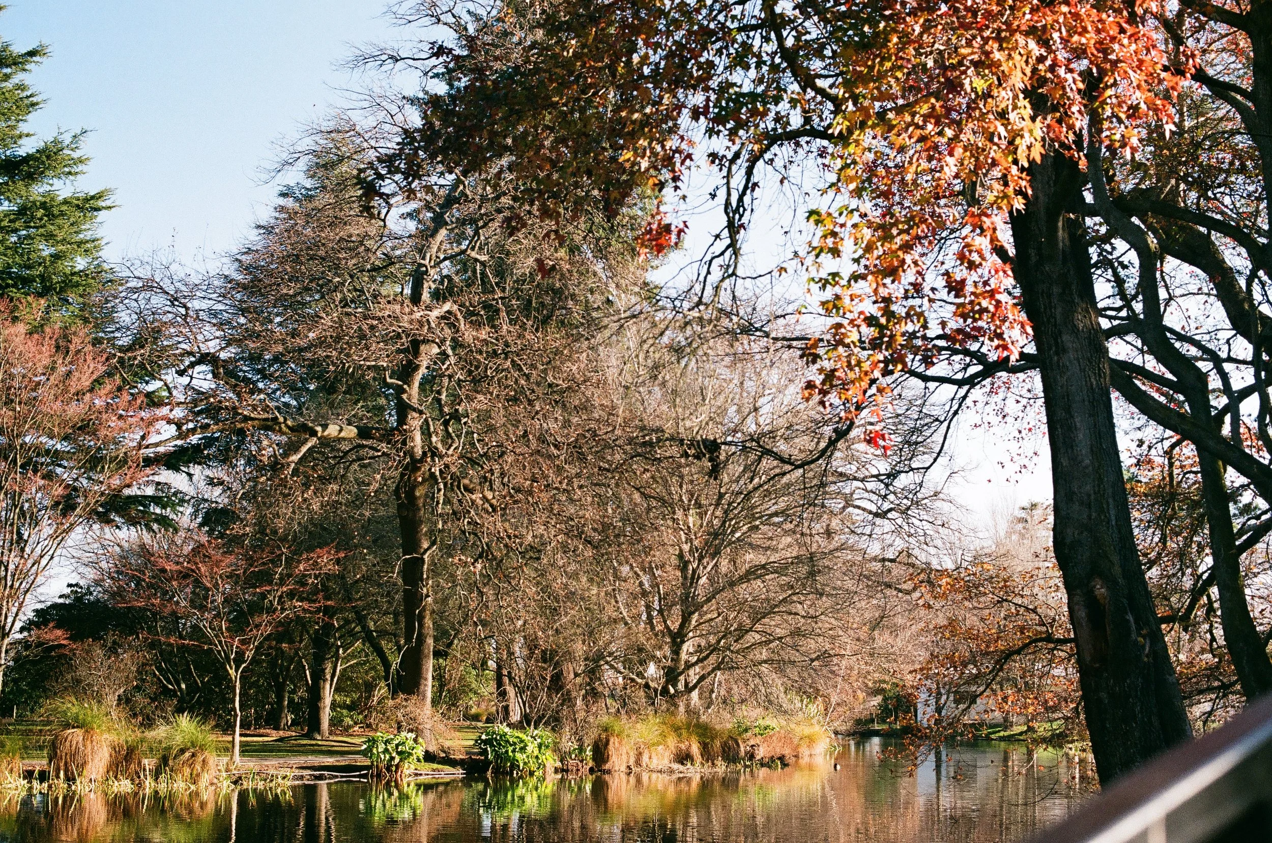 Ashburton Domain