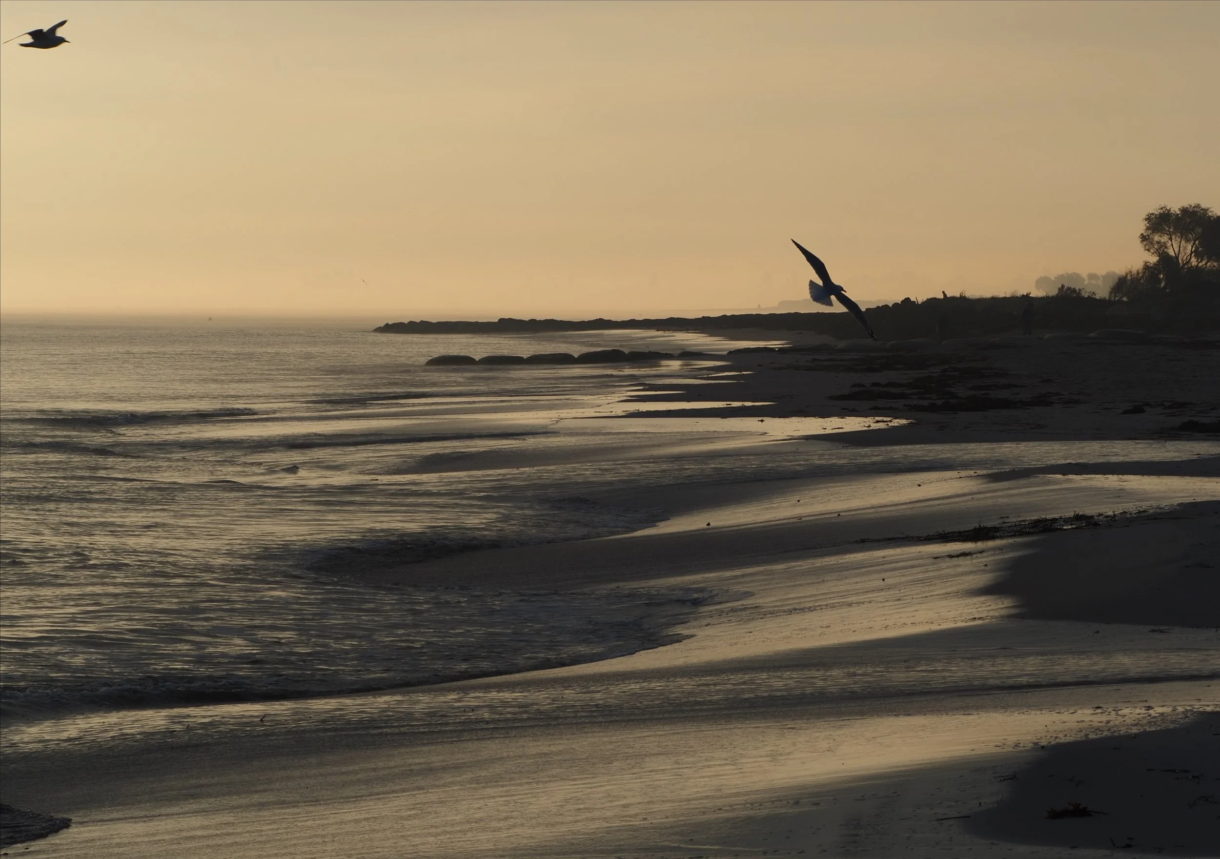 Busselton beach sunrise 1.jpg