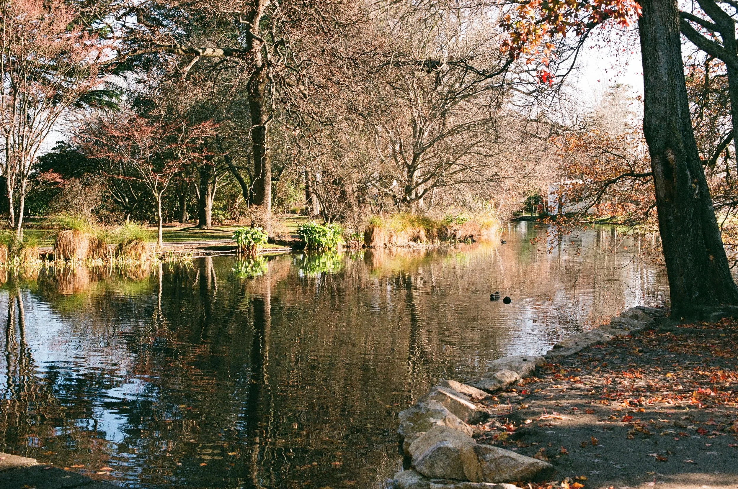 Ashburton Domain