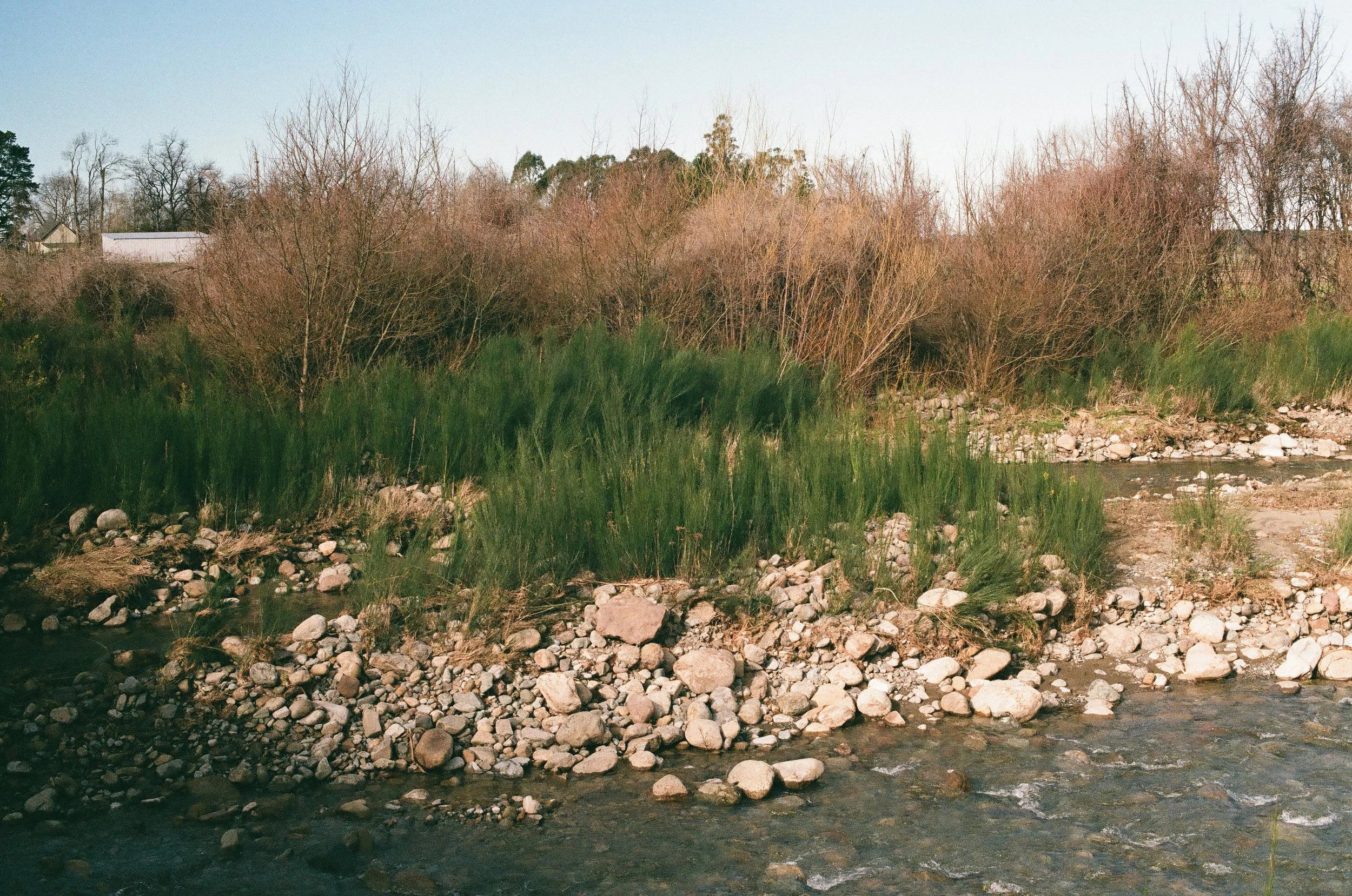 Staveley Stream bank