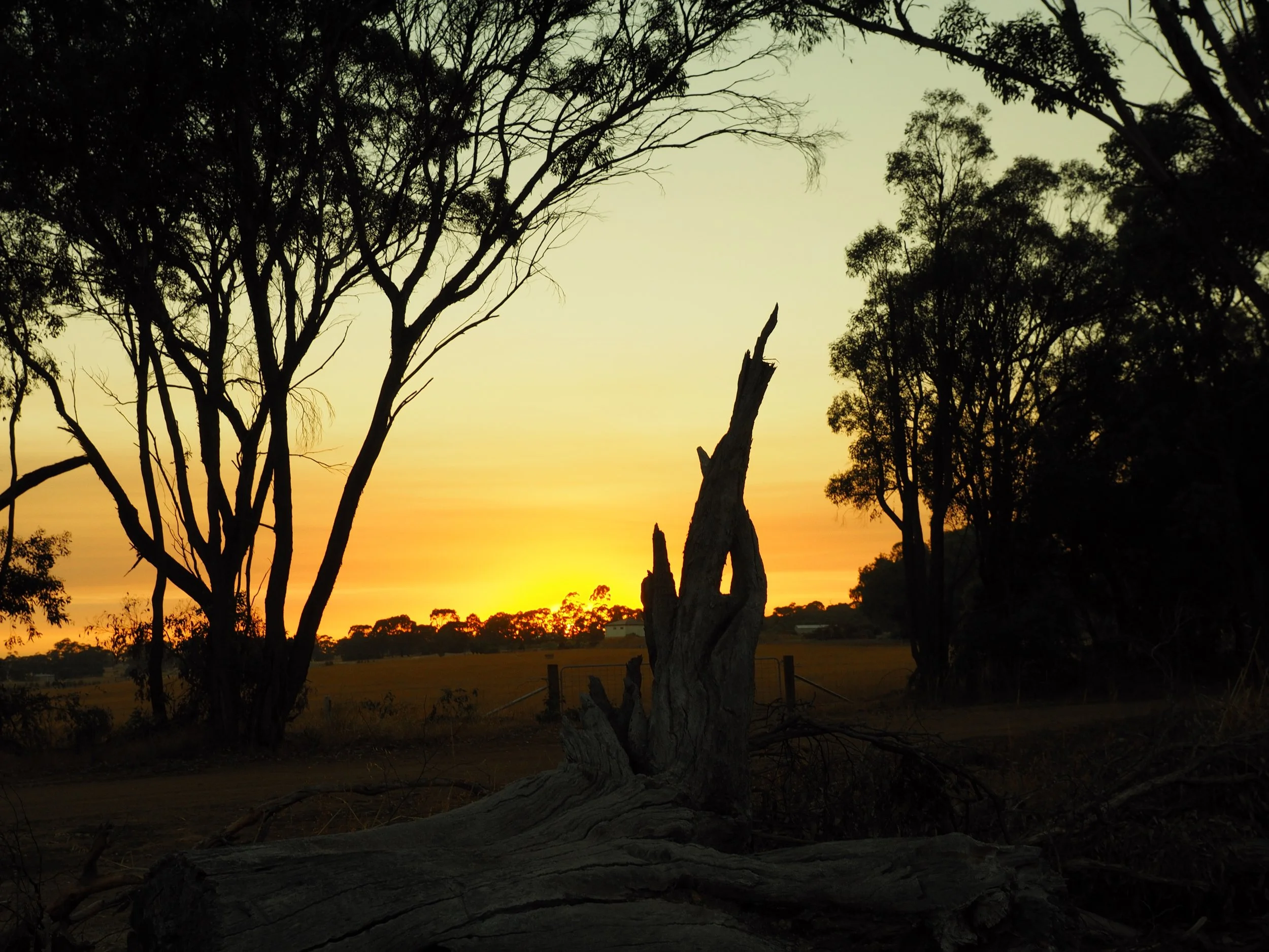 Sunrise over the fields