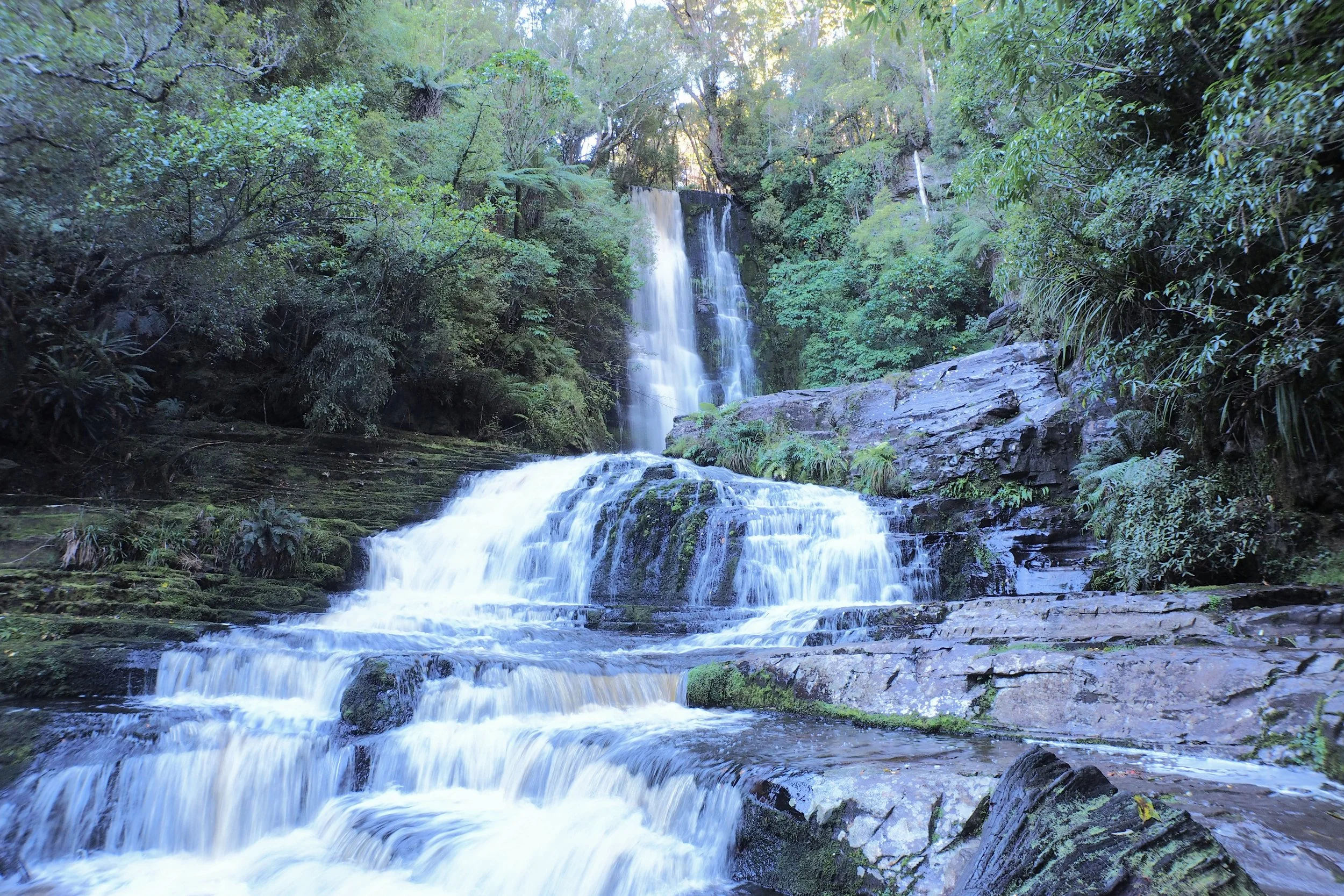 Caitlins NZ 10