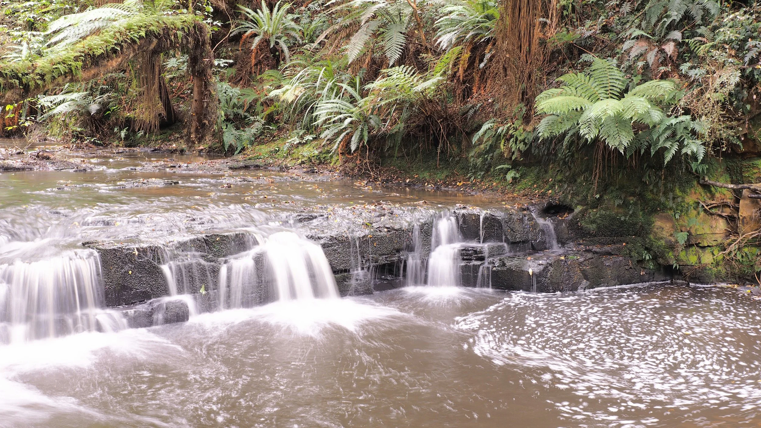 Caitlins NZ 9
