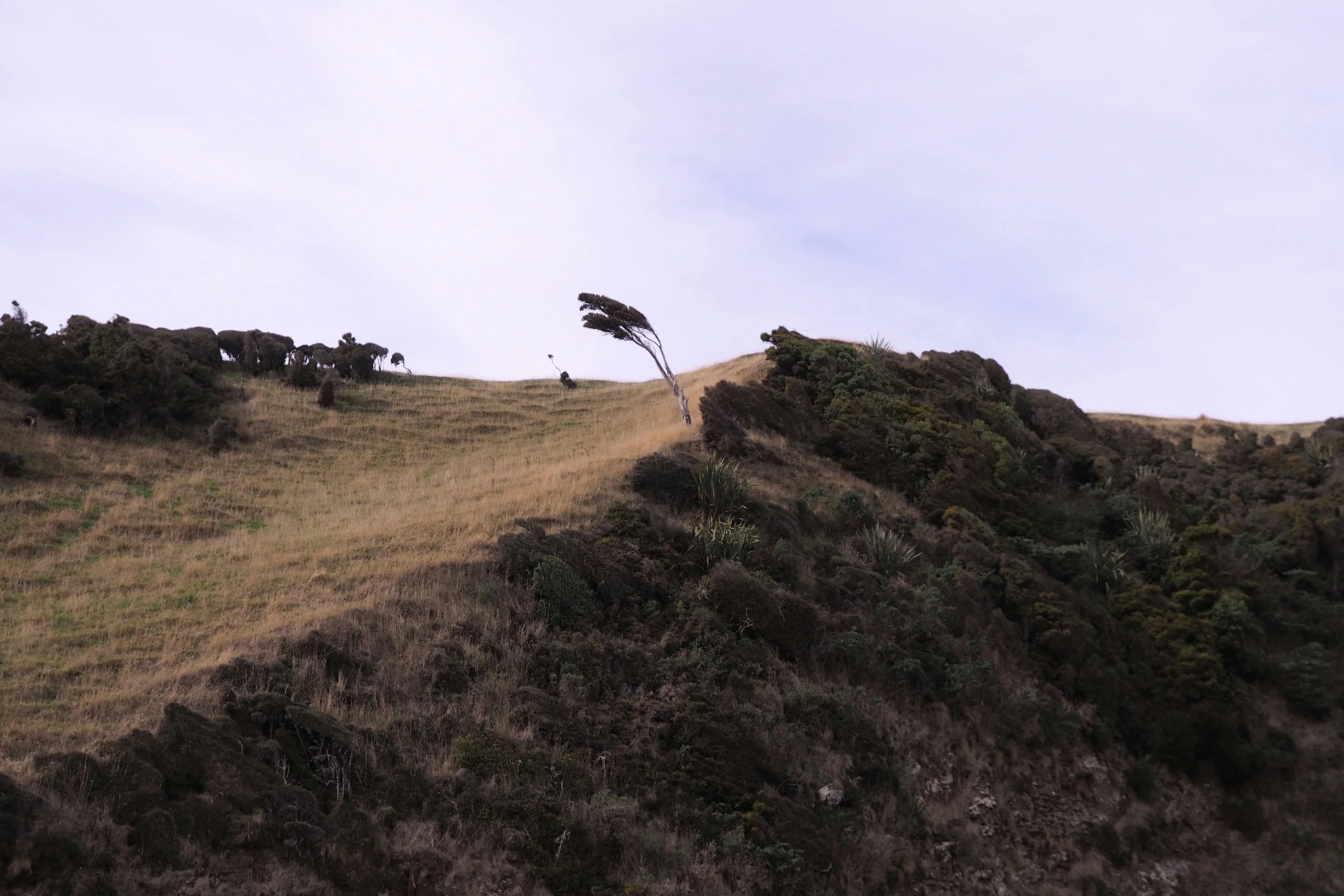 Caitlins NZ 5