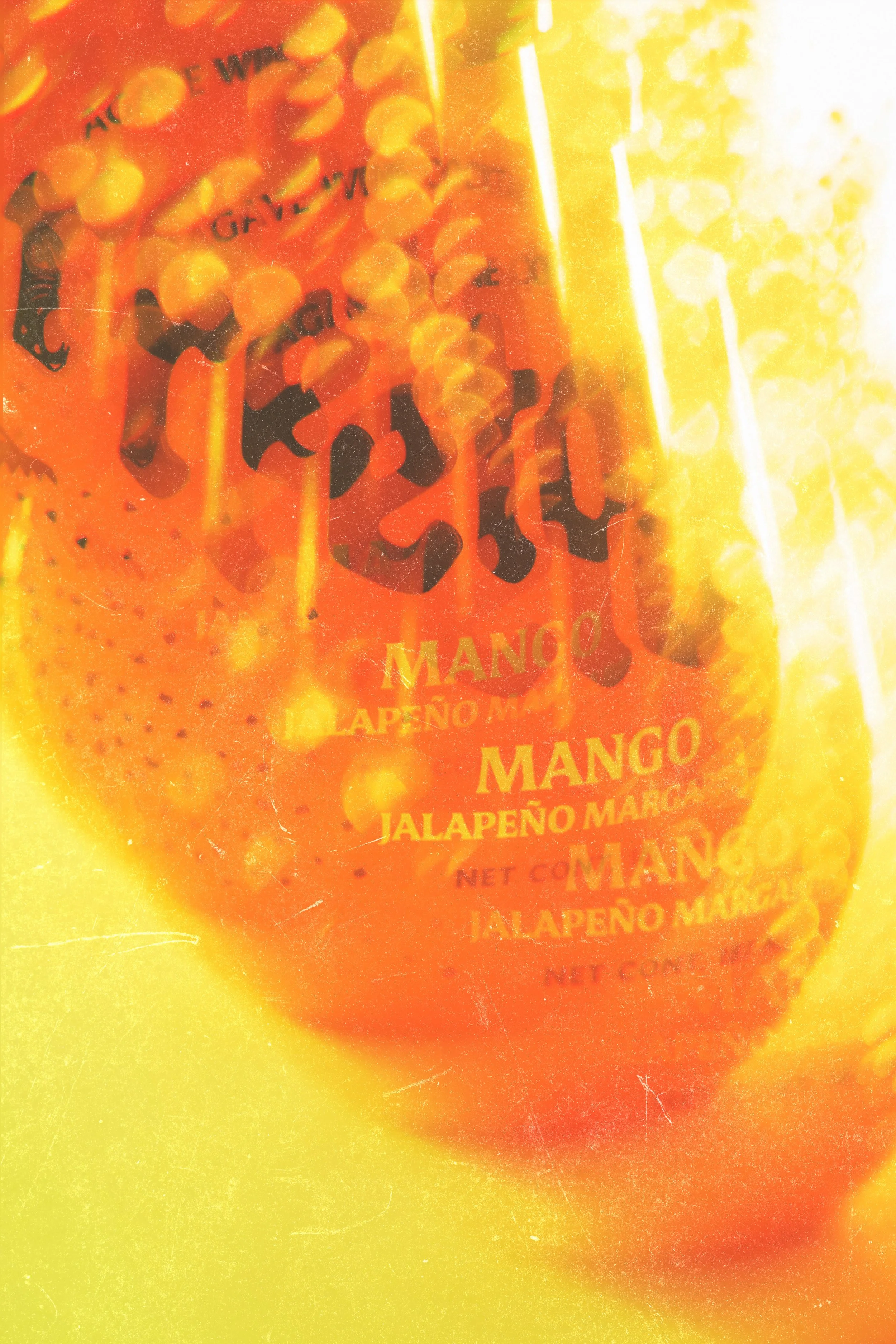 Social-Mango-1.jpg