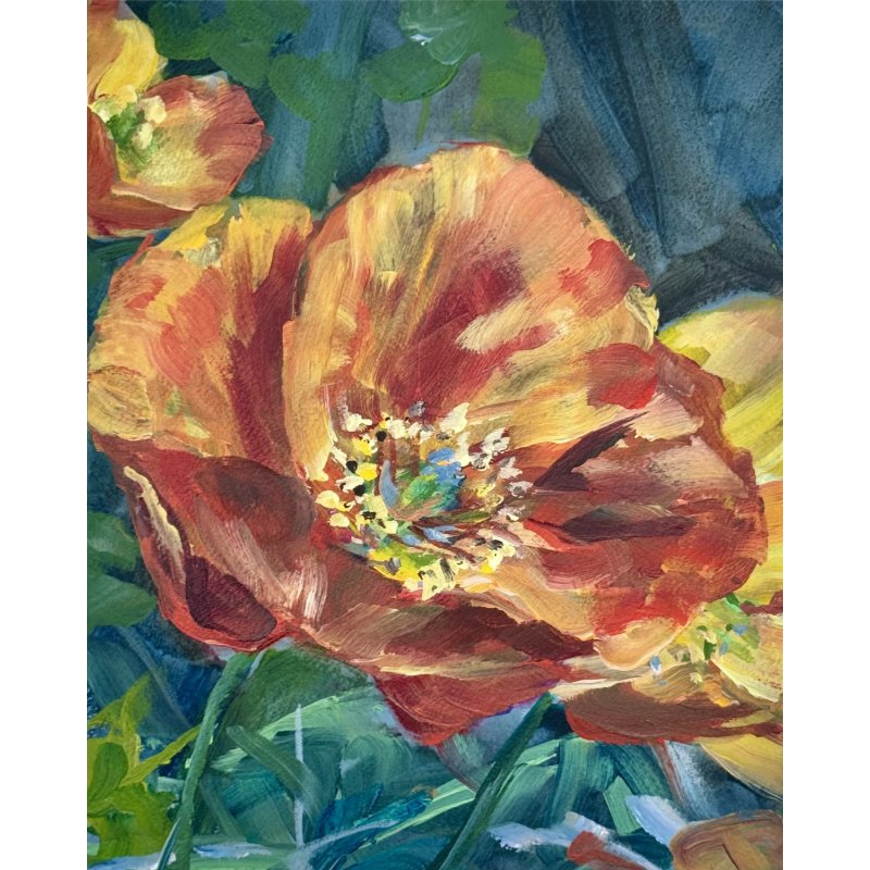 Orange Poppy SQUARE 10x10.jpg
