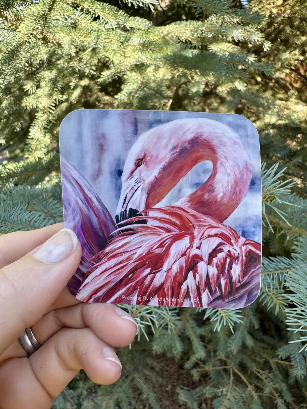 Preening 3" x 3"
