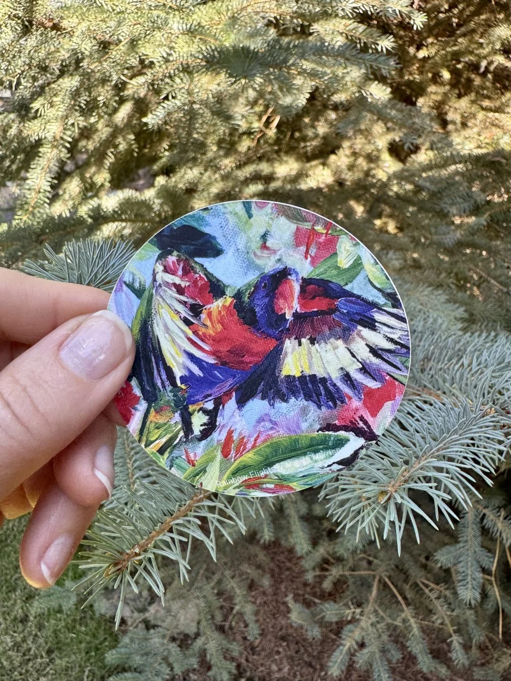 Rainbow Flight 3" x 3"