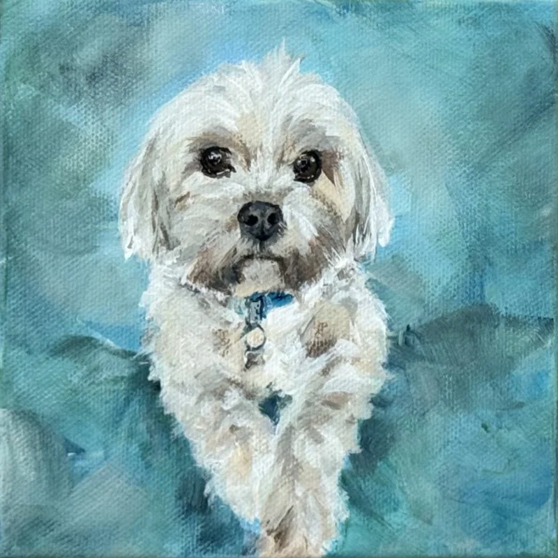 Painting of a small, fluffy white dog with dark eyes and a black nose, standing on a blue background.