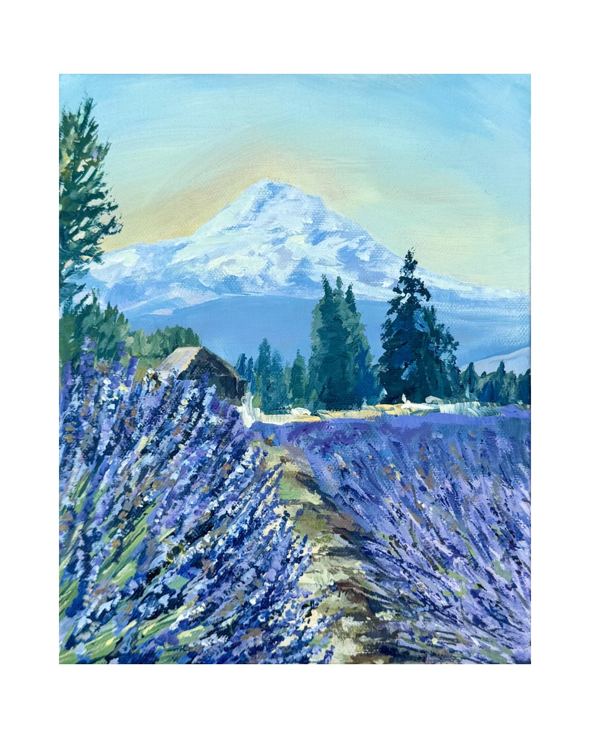 Lavender Farm resized 40x50.jpg