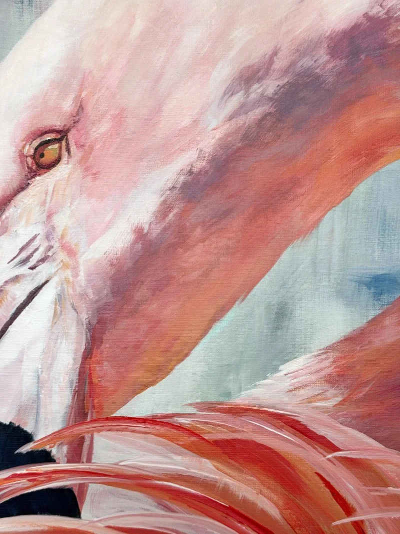 Preening - close up.jpg