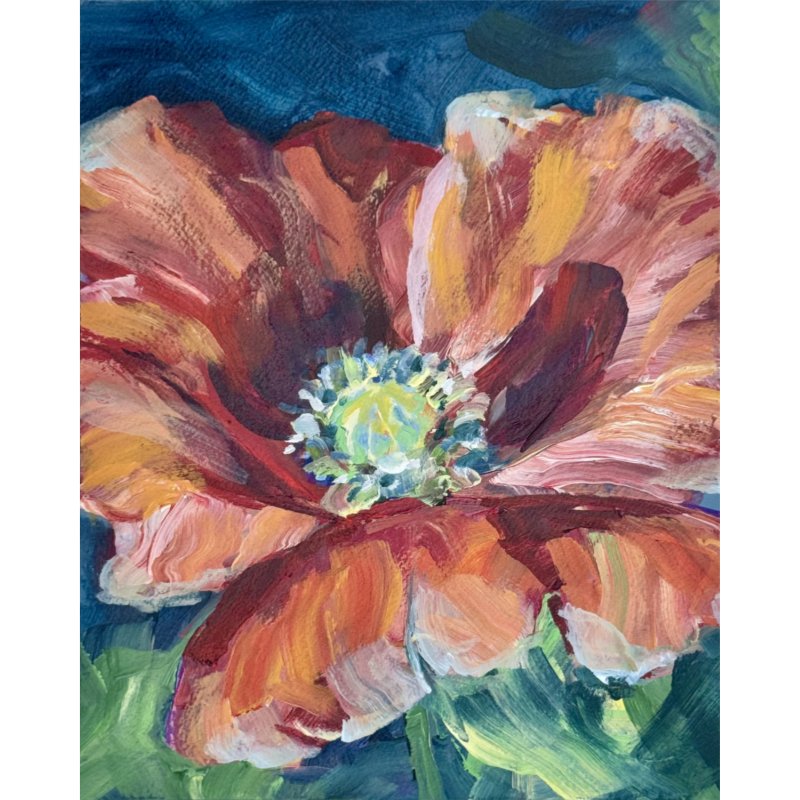 Red Poppy SQUARE 10x10.jpg
