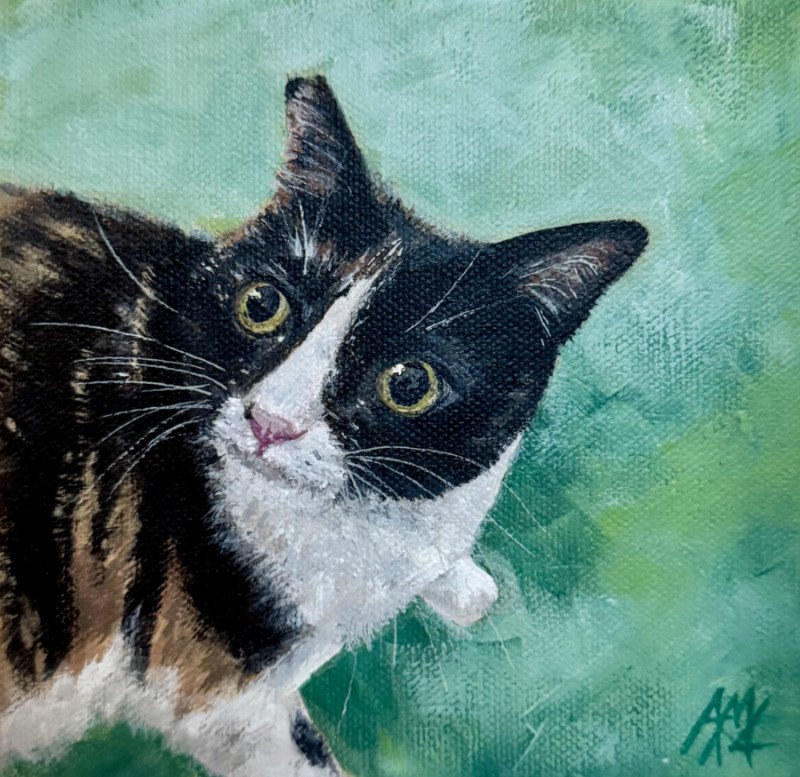 Close-up of a black and white cat with yellow eyes, set against a textured green background.