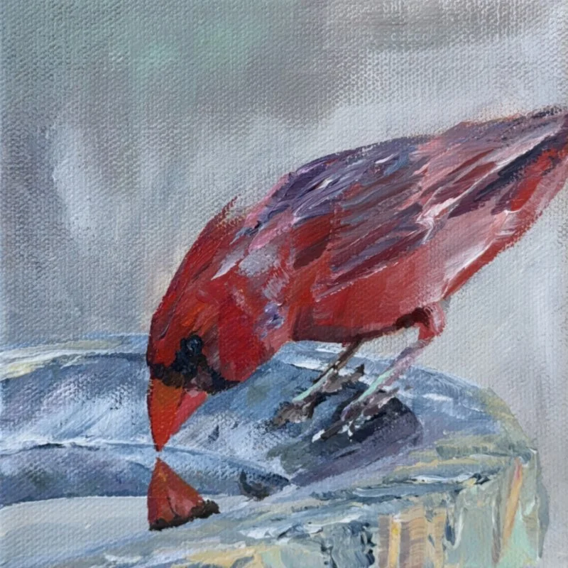 Cardinal 2 - SQUARE 6x6.jpg