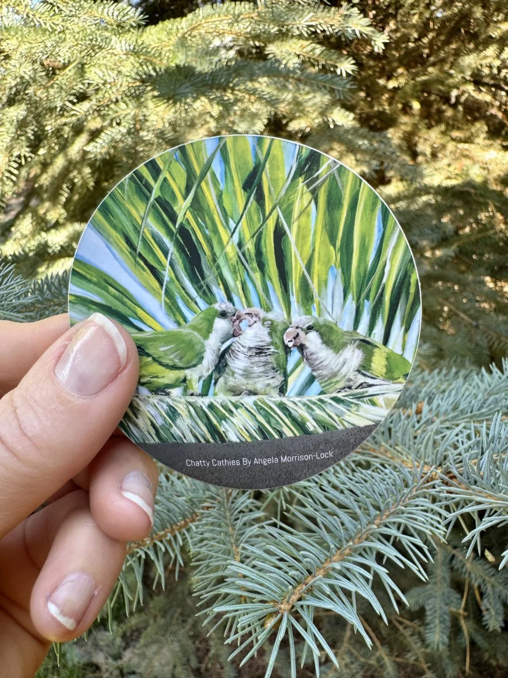 Chatty Cathies 3" x 3"