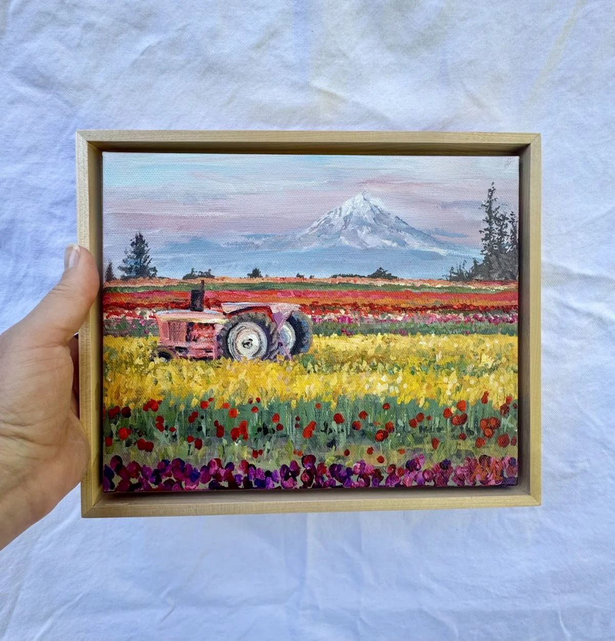 Wooden Shoe, Tulip Farm 8x10.jpg