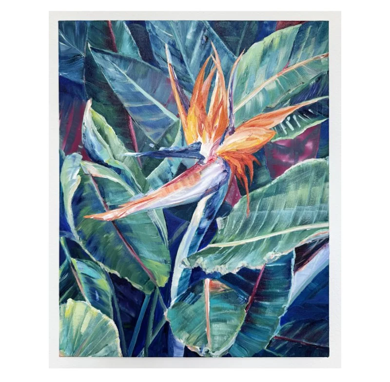 Bird of Paradise 2 - extended square web.jpg