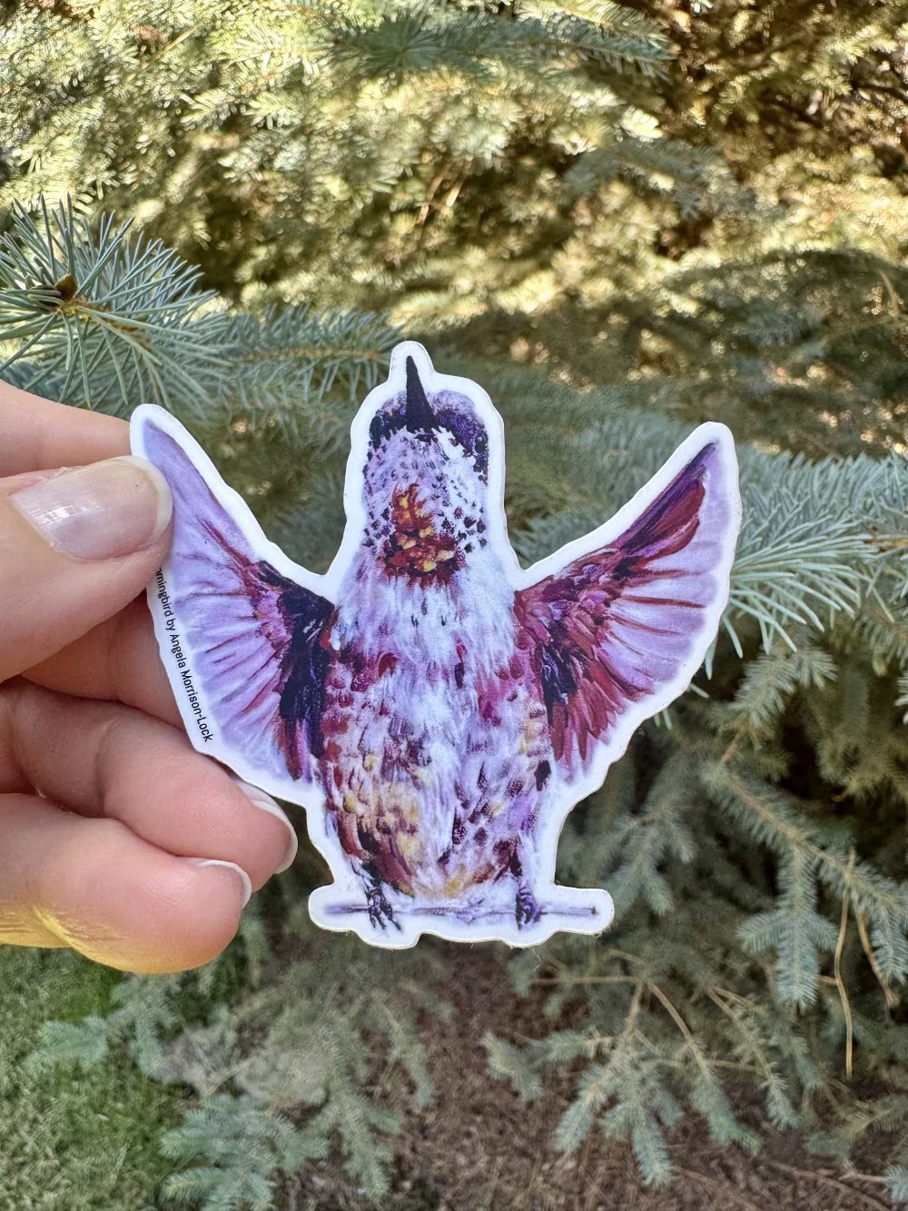 Calliope Hummingbird 3" x 3"
