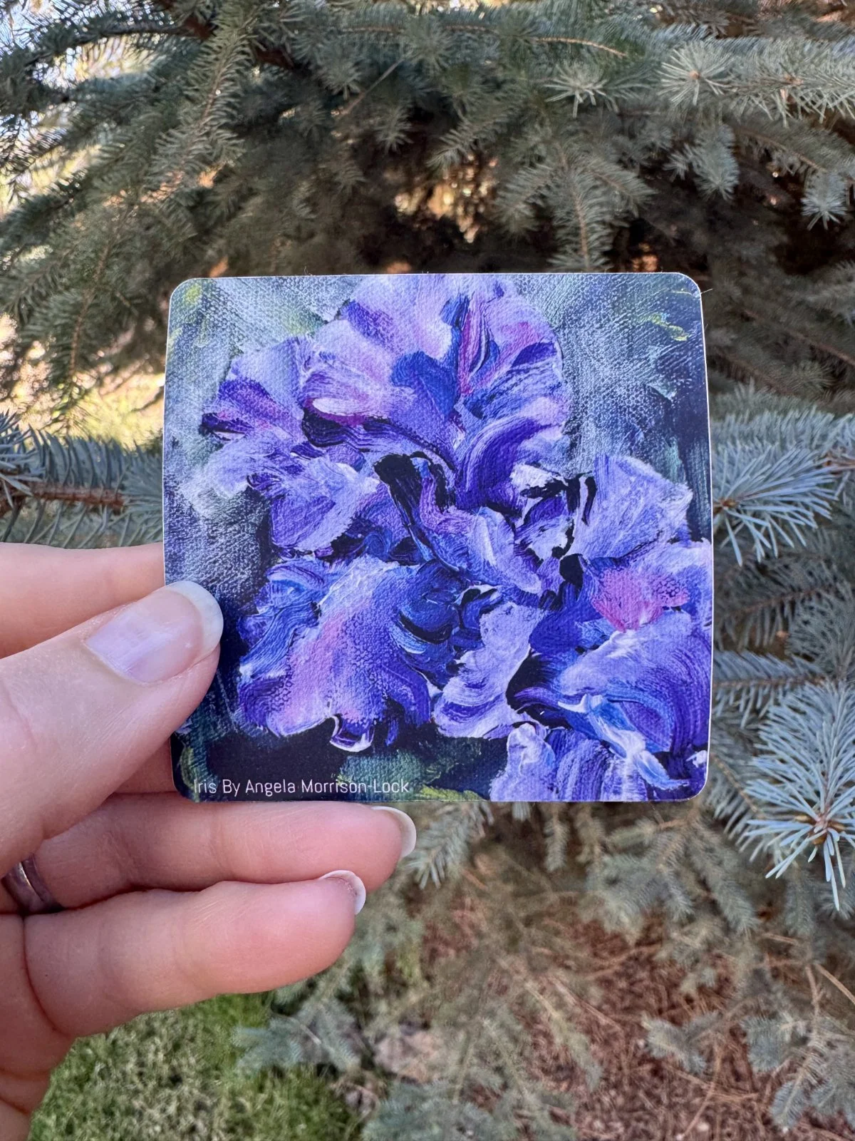iris sticker.jpg